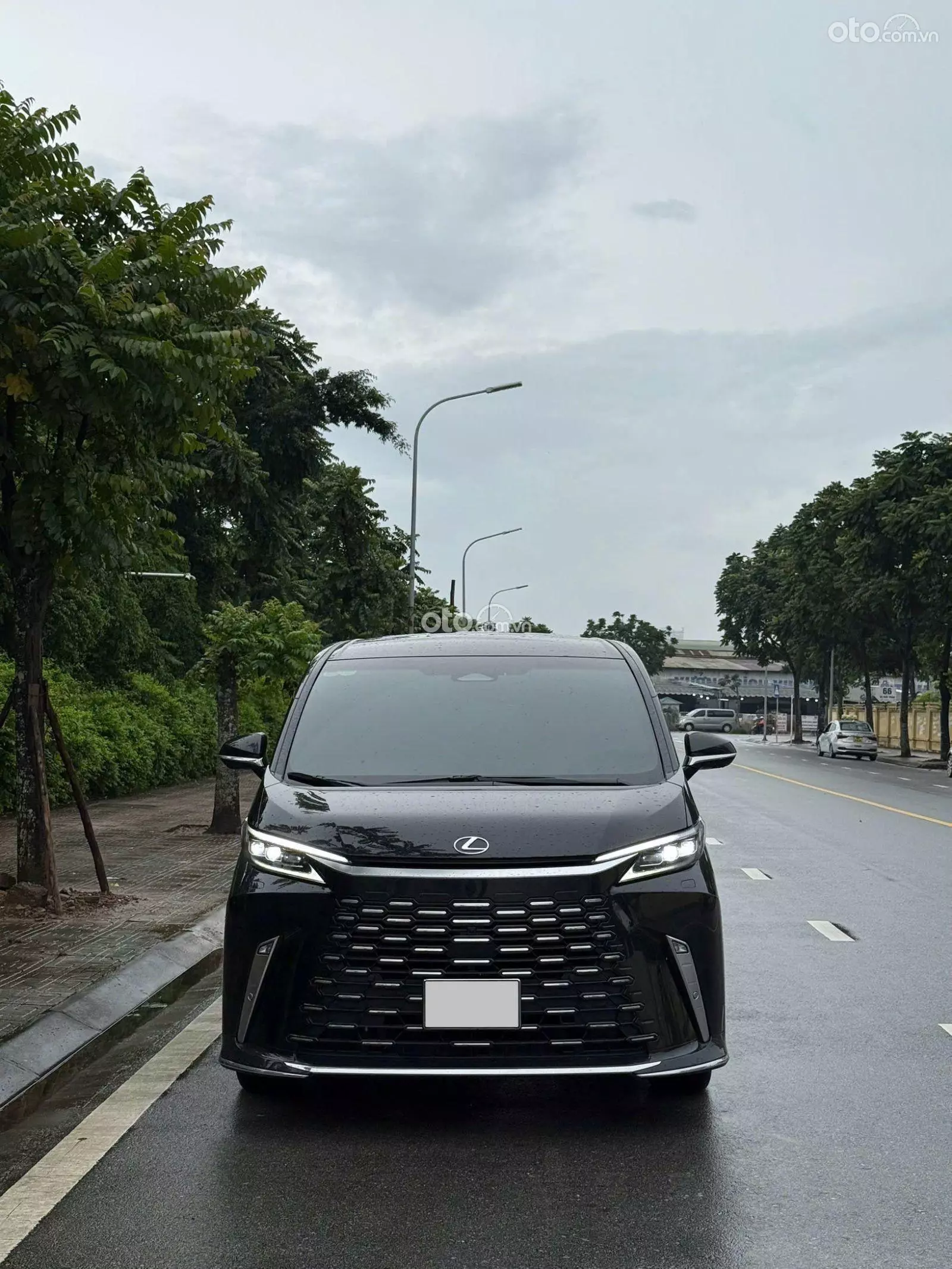 2025 Lexus LM500h 6 ghế