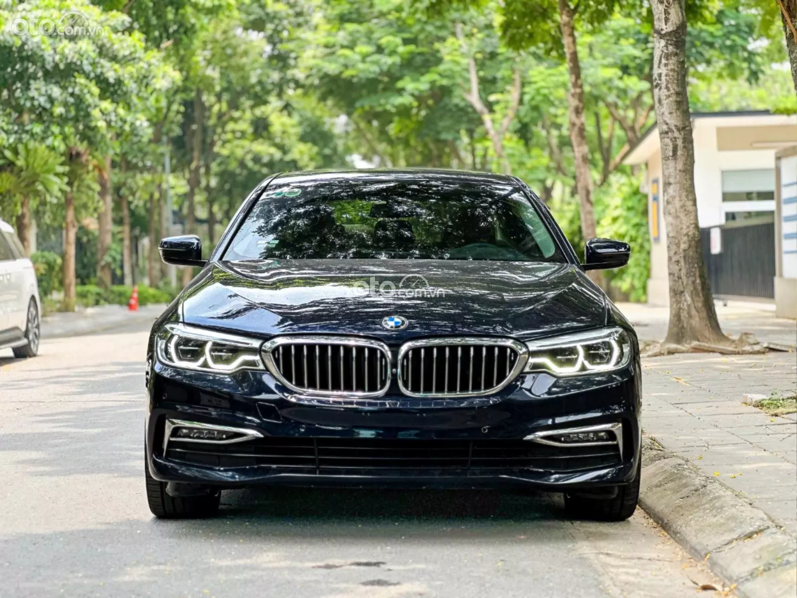 2019 BMW 530i Luxury Line