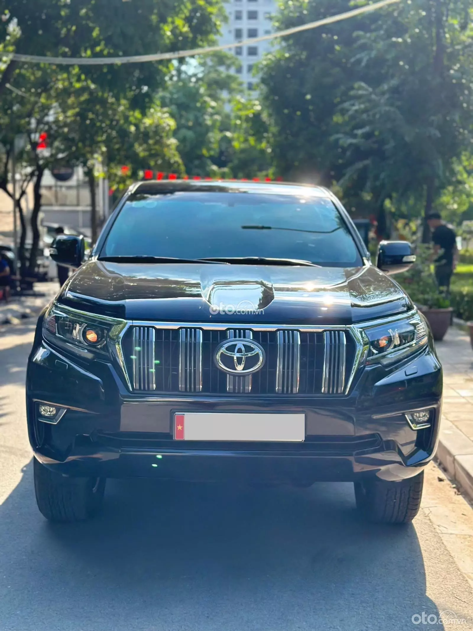 2019 Toyota Land Cruiser Prado VX