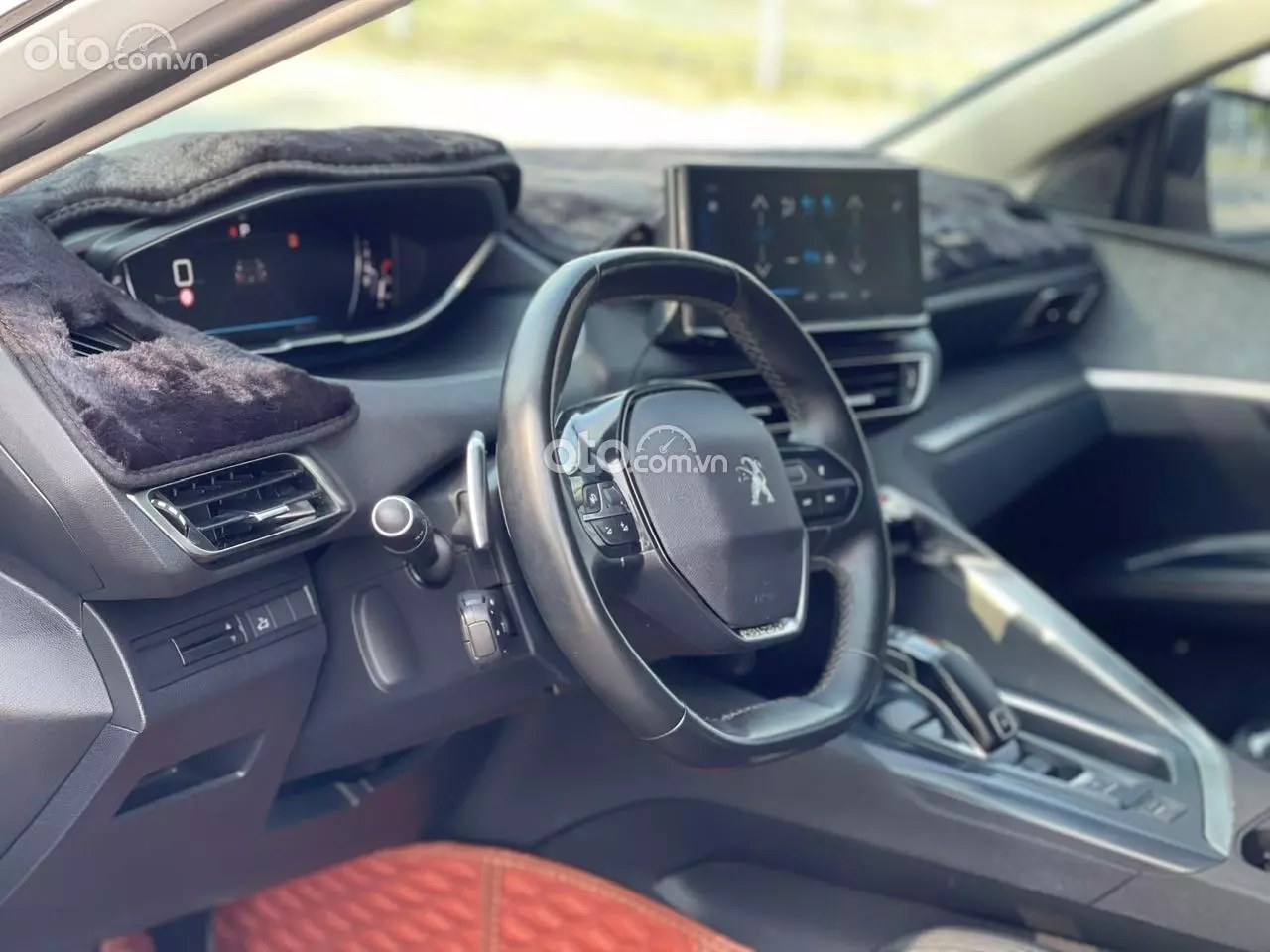 Thumbnail 11