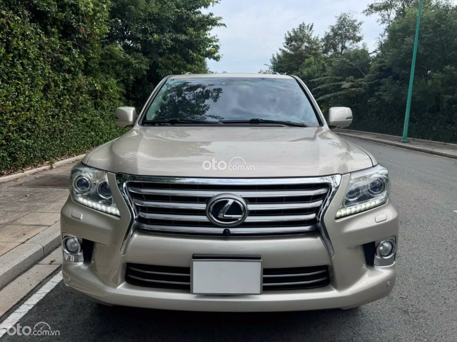 2013 Lexus LX 570