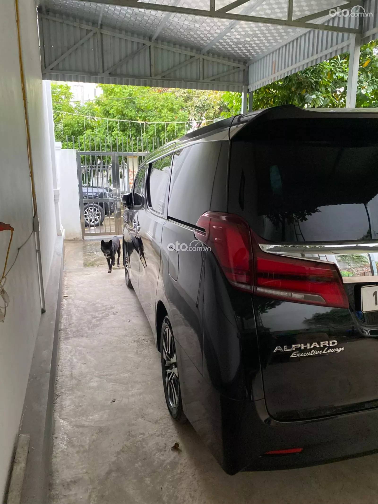2019 Toyota Alphard Executive Lounge