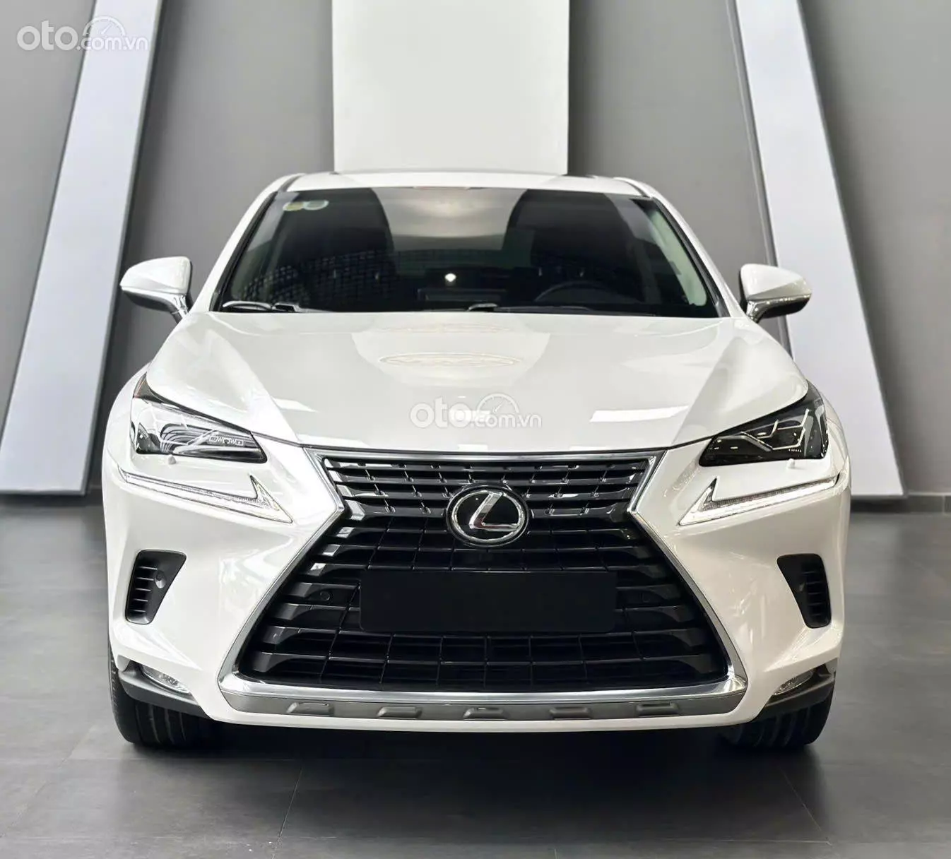 2019 Lexus NX 300 T