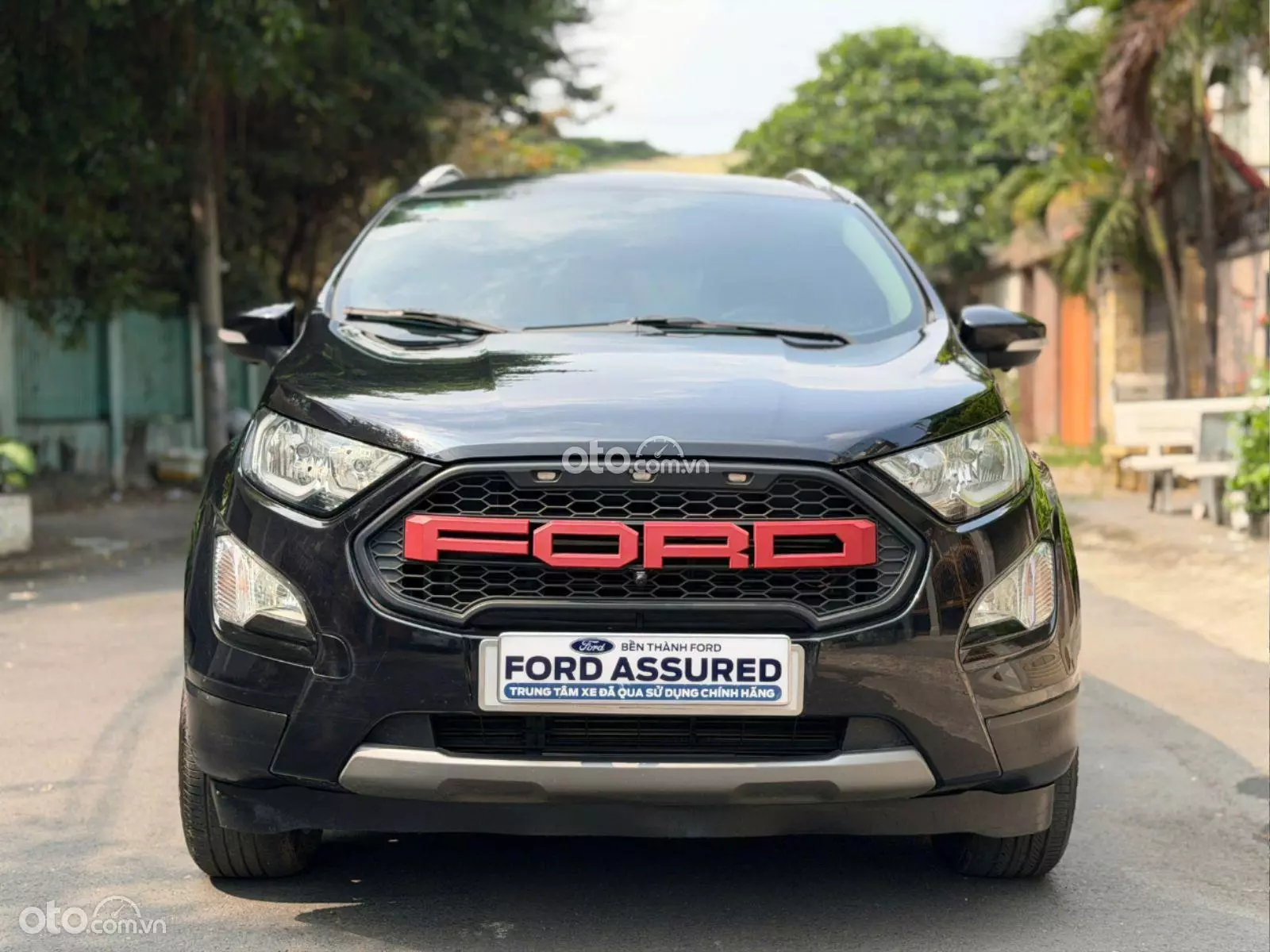 Thumbnail 12