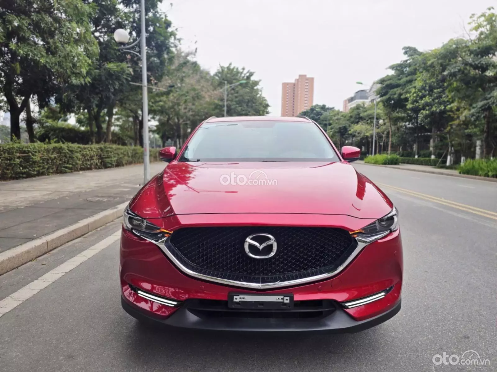 2023 Mazda CX-5 2.0 Luxury - ảnh nhỏ 2