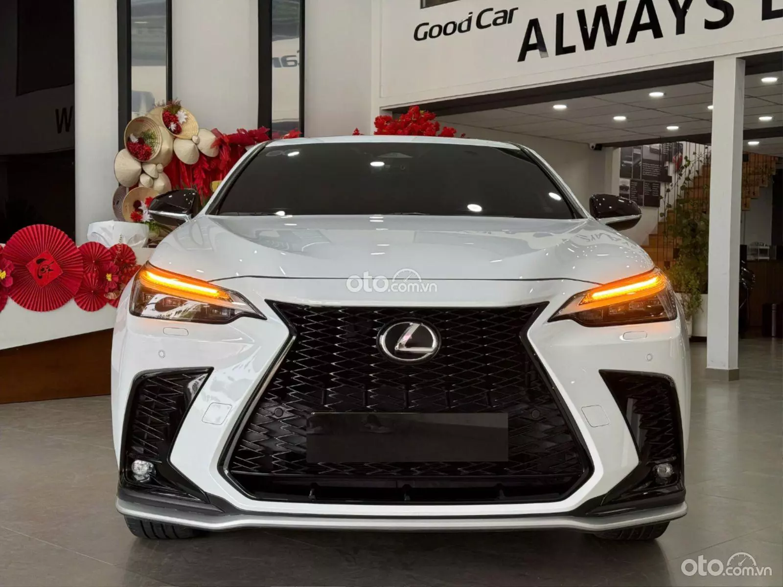 2023 Lexus NX 350 F-Sport - Image 1