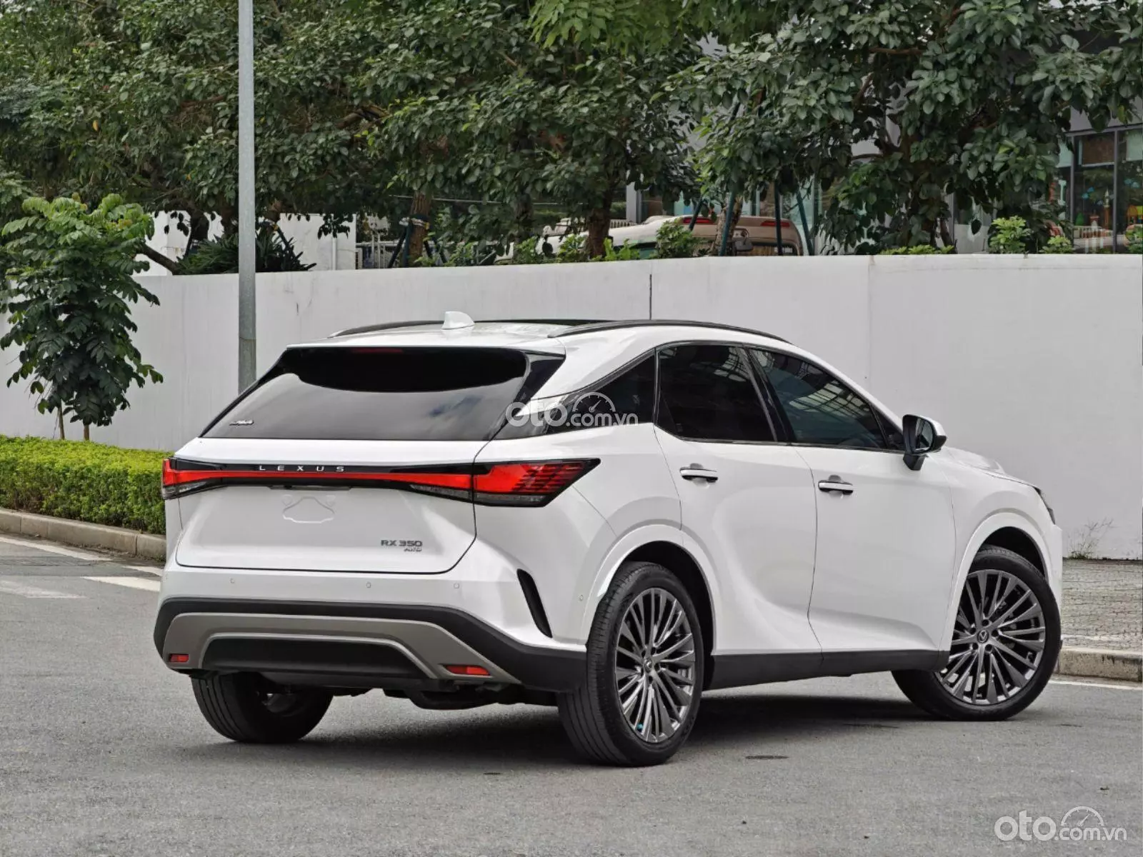 Thumbnail 11