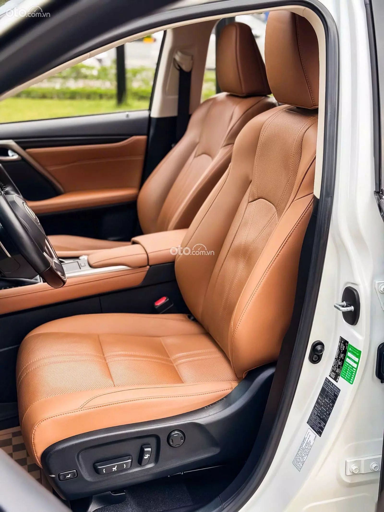 Thumbnail 11