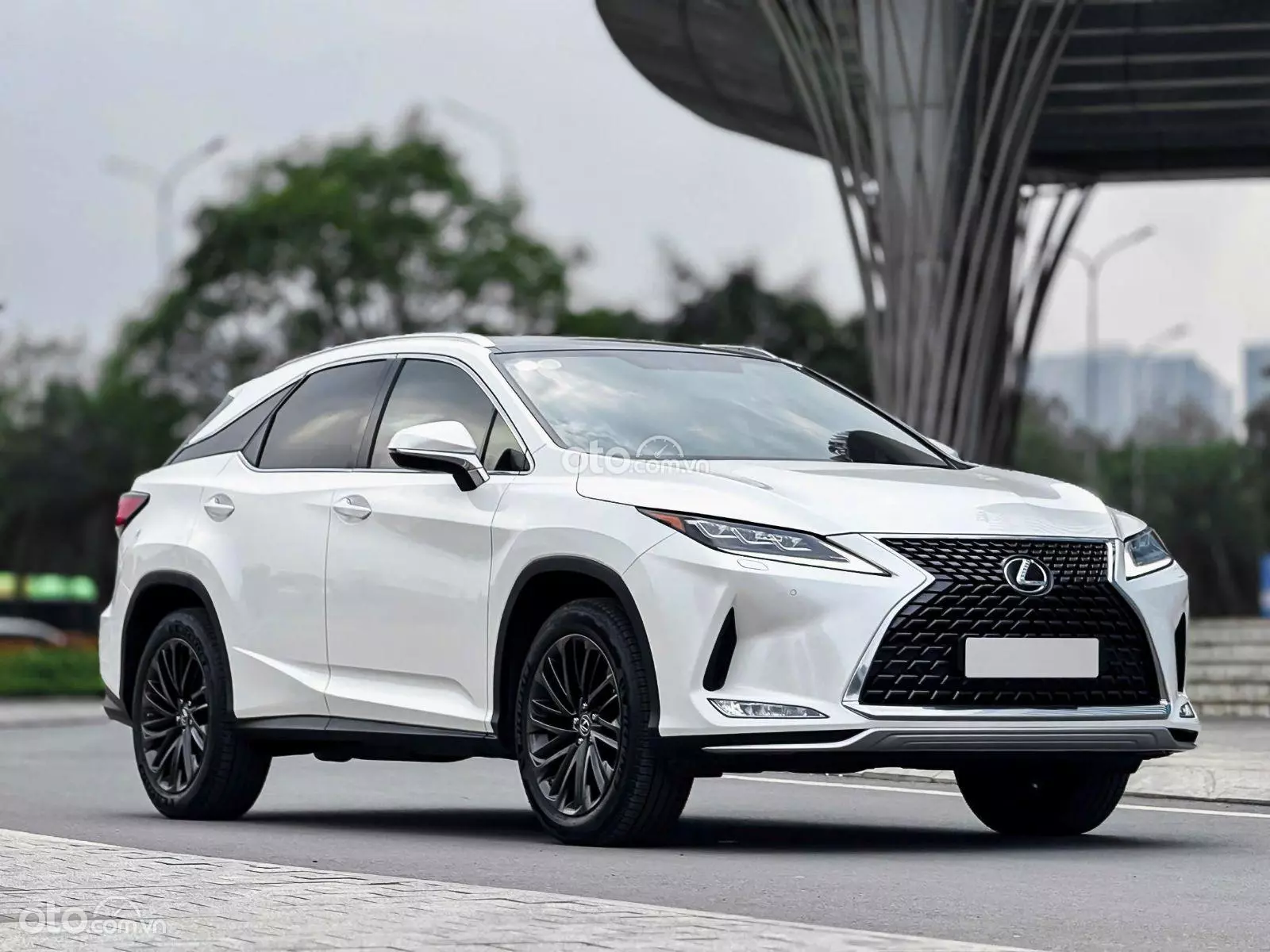 2021 Lexus RX 300 T