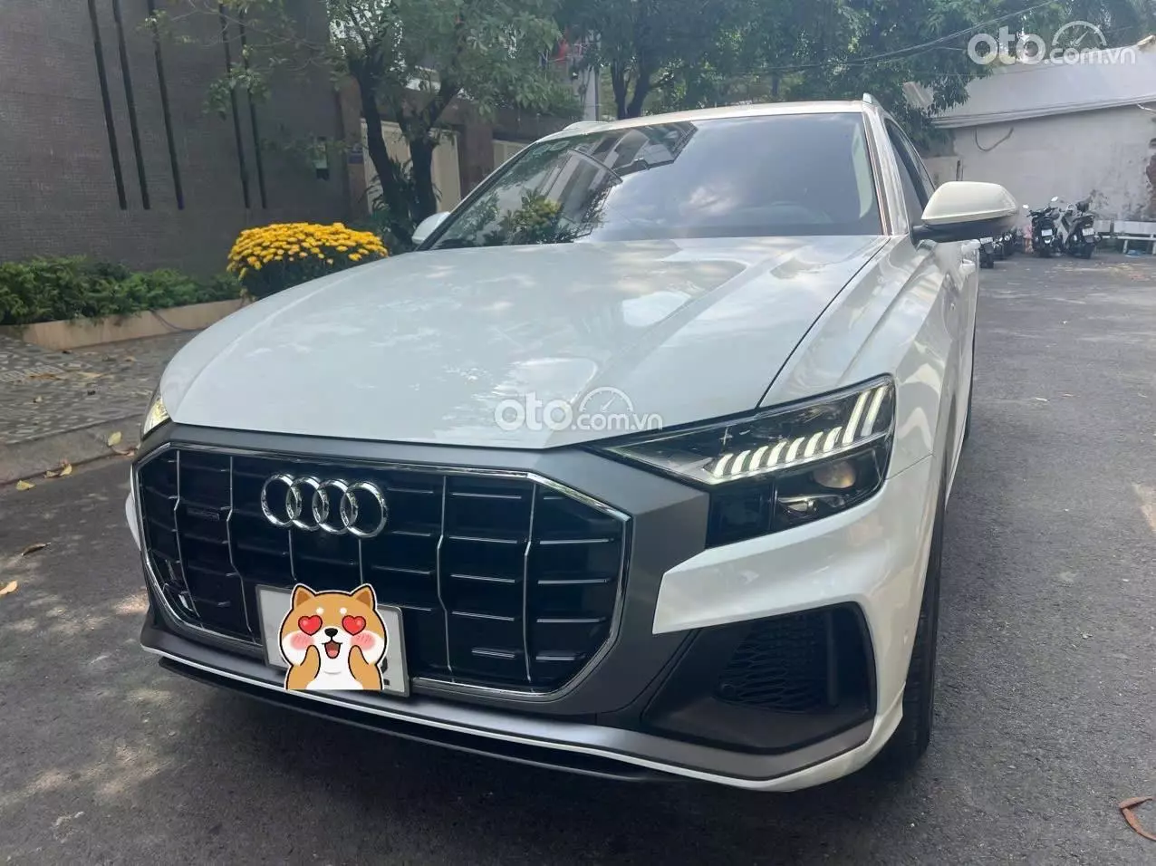 2021 Audi Q8 55 TFSI Quattro