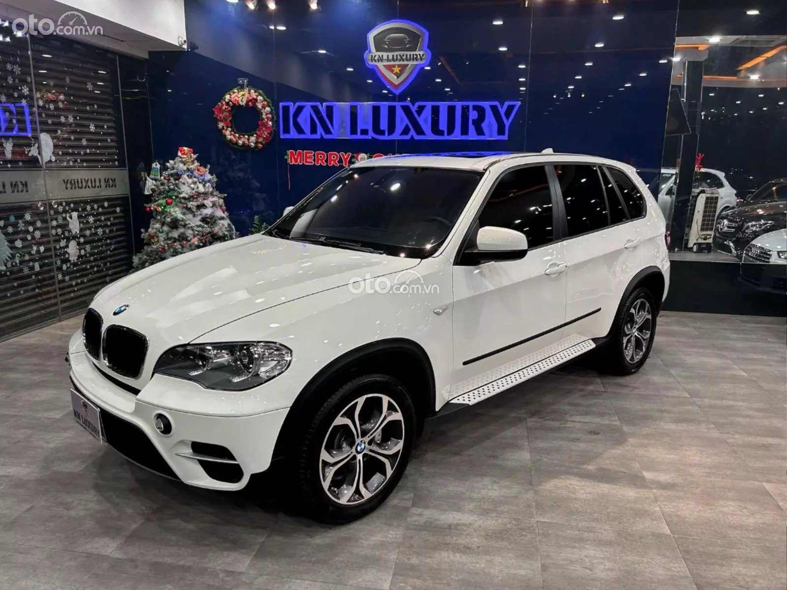 2011 BMW X5 xDrive30d