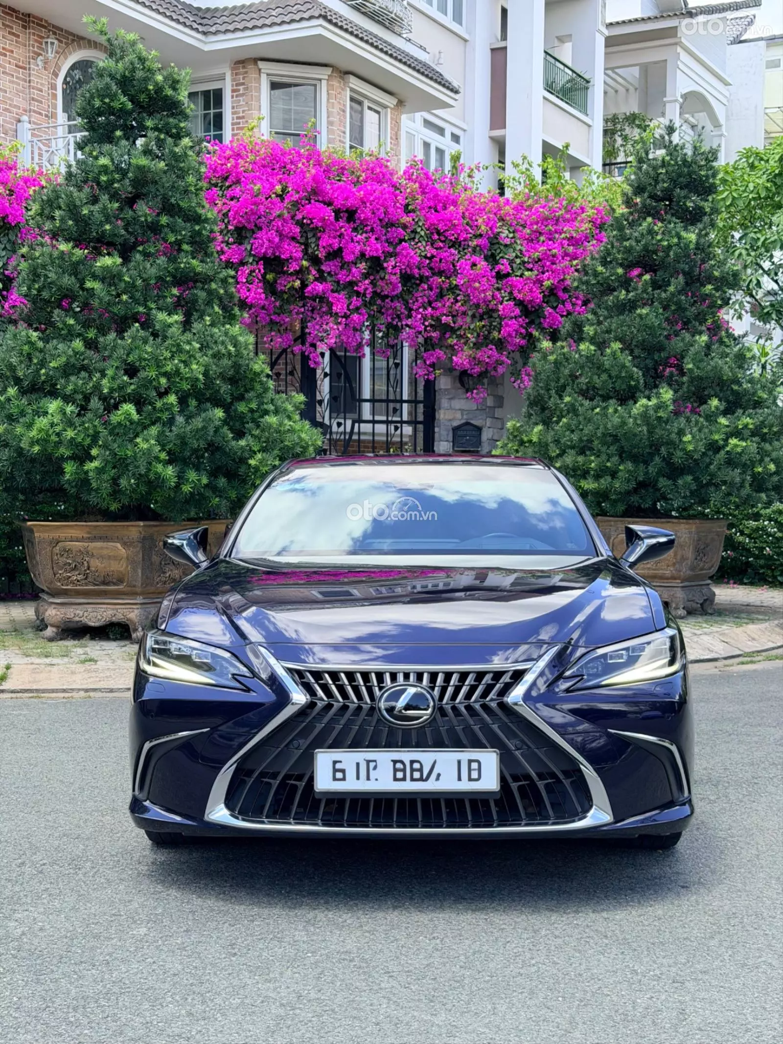 2021 Lexus ES 250 F-Sport