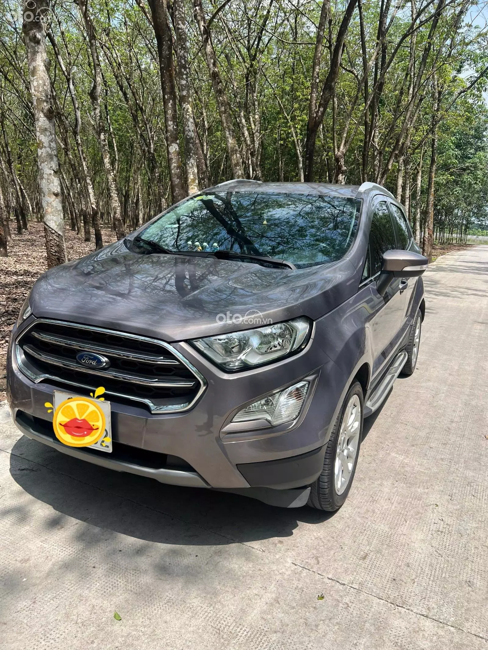 2019 Ford EcoSport Titanium 1.5L AT