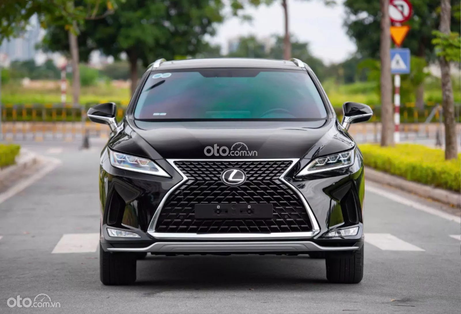 2019 Lexus RX 300