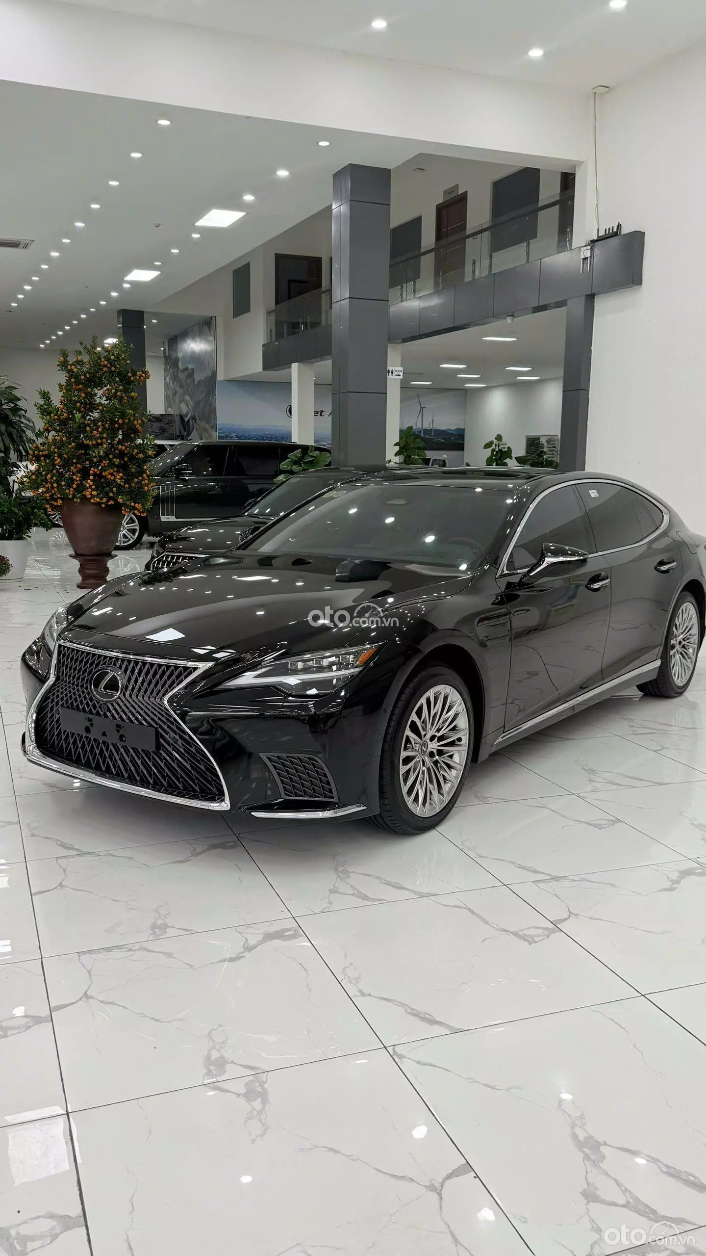 2025 Lexus LM500h 4 ghế