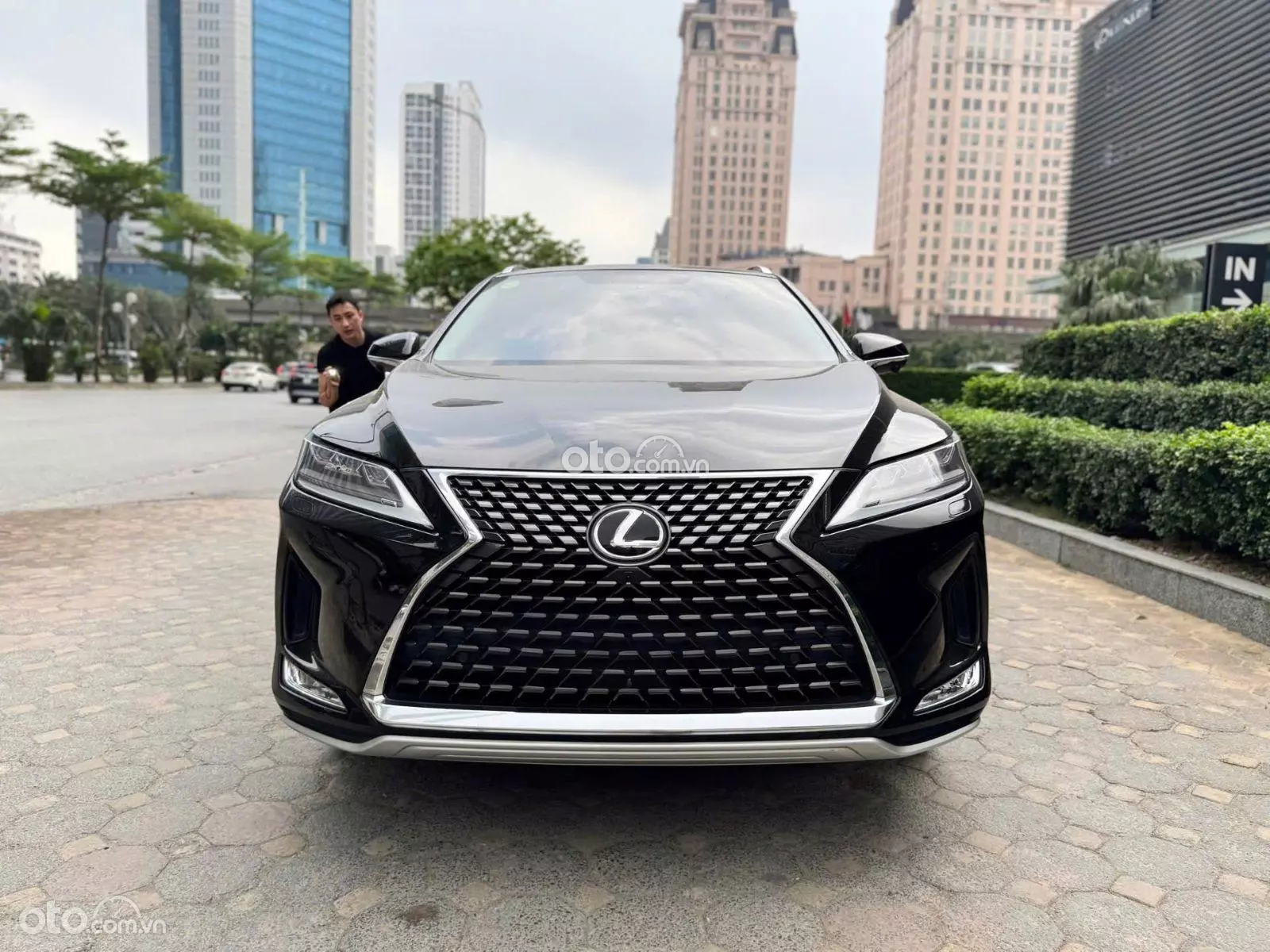 2021 Lexus RX 300