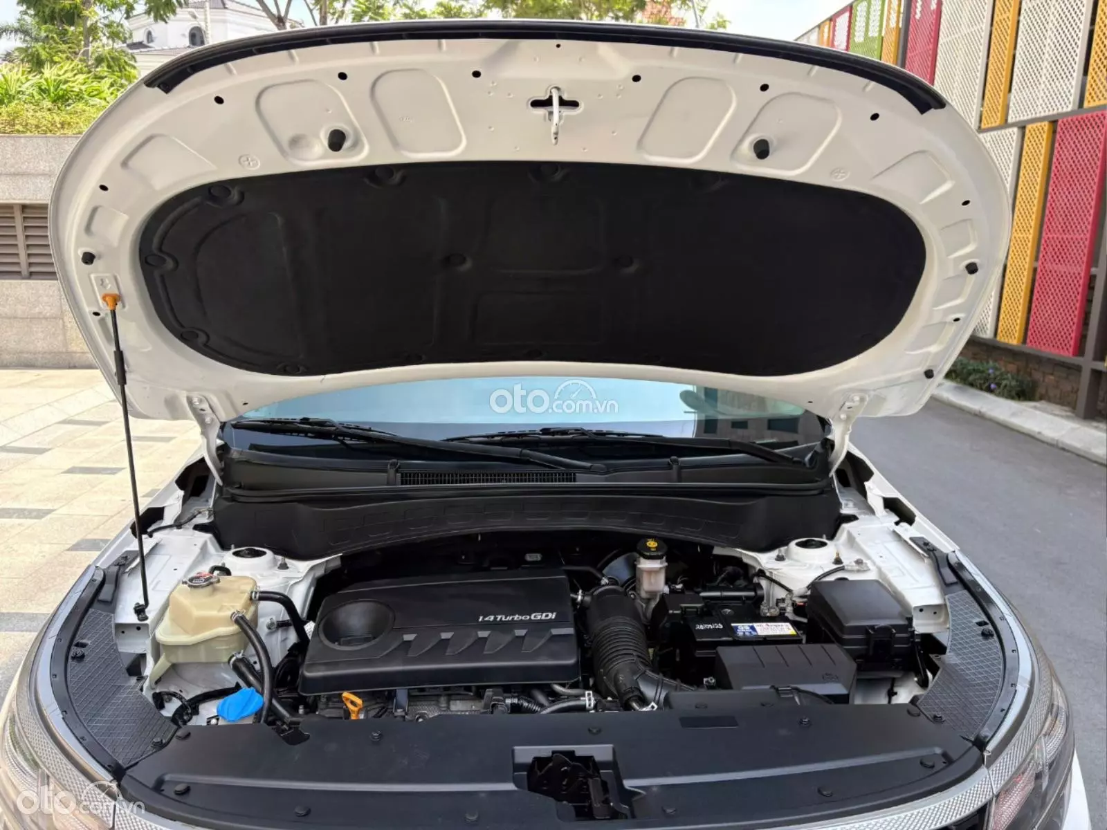 Thumbnail 11