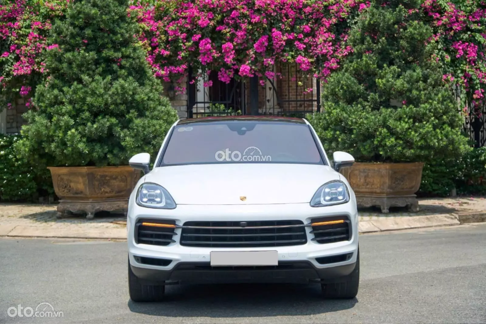 2022 Porsche Cayenne Platinum Edition