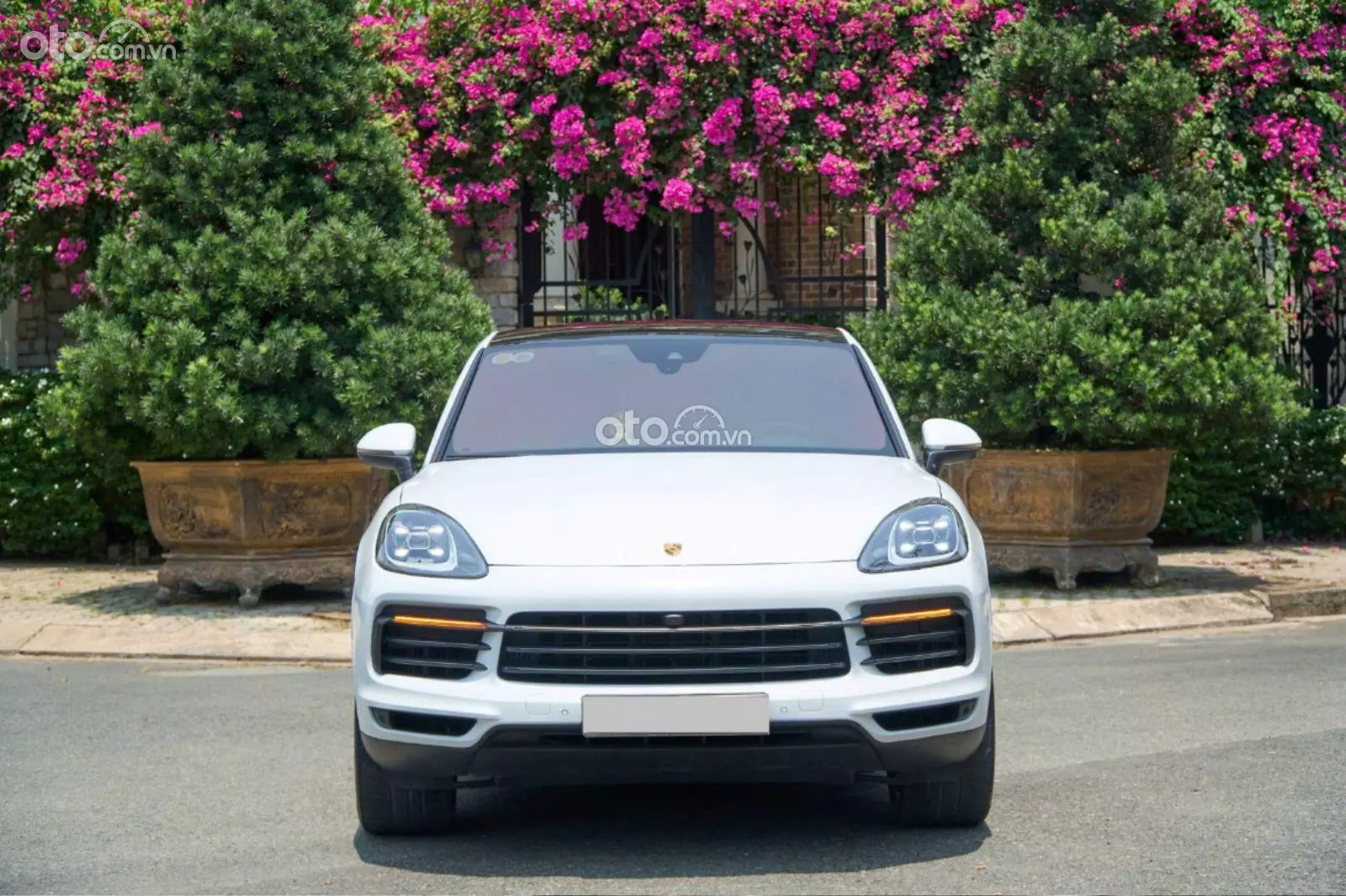2022 Porsche Cayenne Platinum Edition