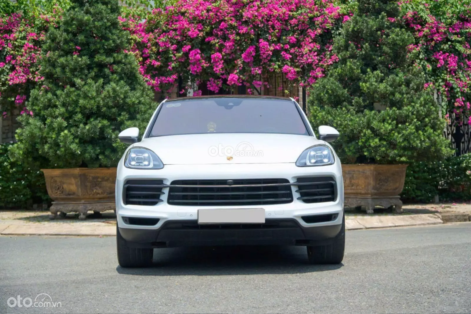 2022 Porsche Cayenne Platinum Edition - ảnh nhỏ 3