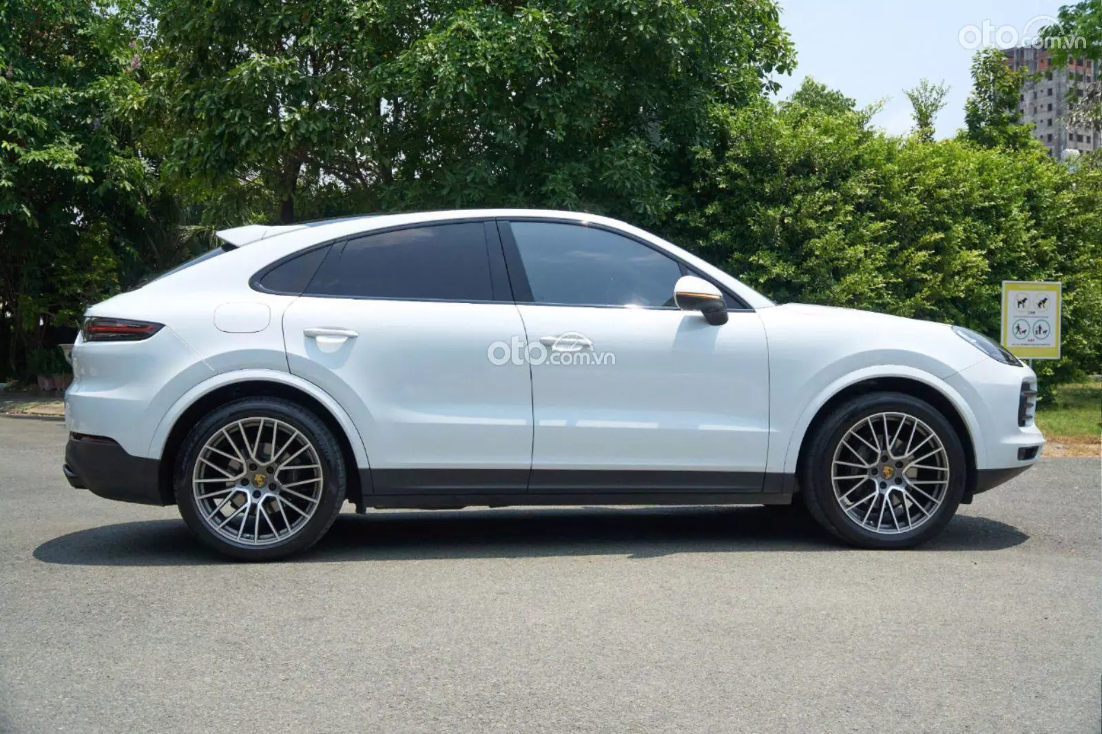 2022 Porsche Cayenne Platinum Edition - ảnh nhỏ 4