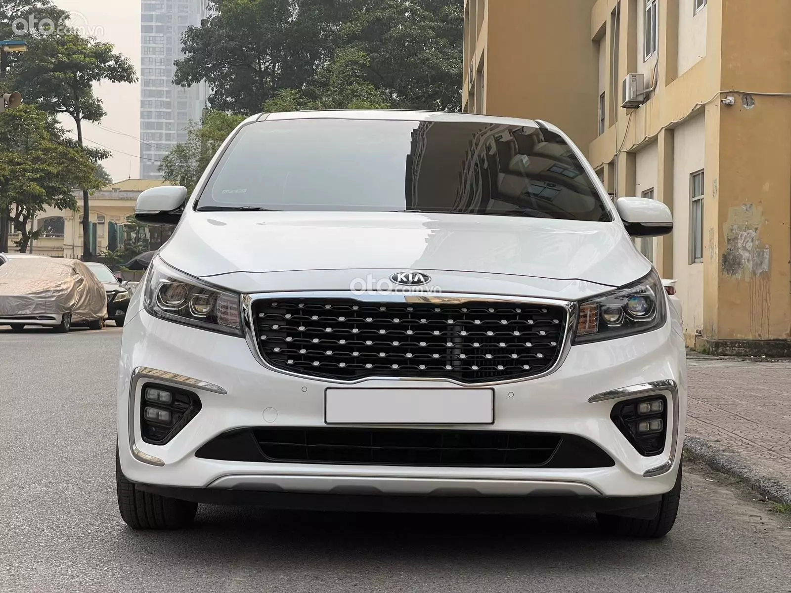 2019 Kia Sedona 2.2 Platinum D - ảnh nhỏ 2