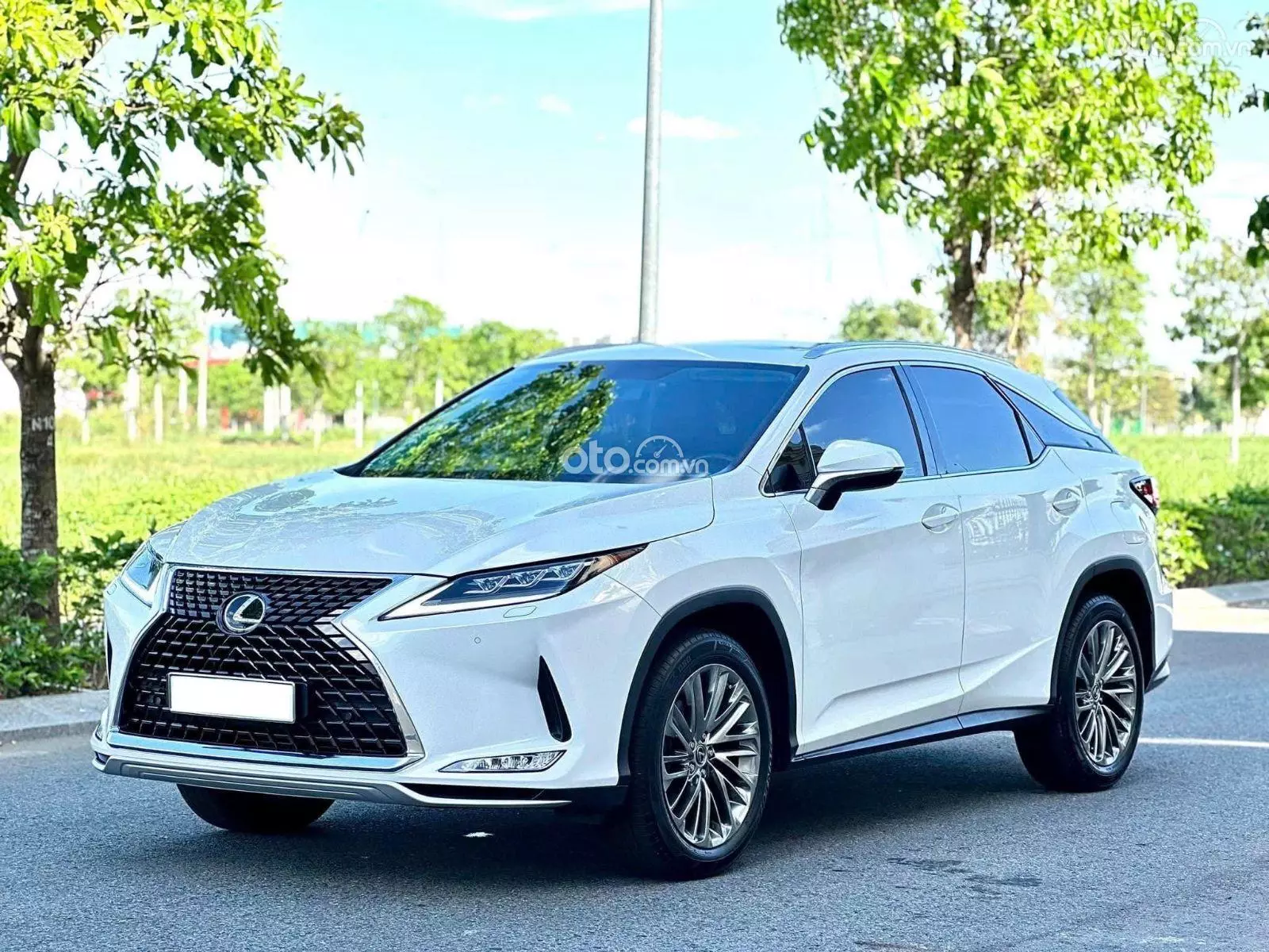 2020 Lexus RX 300