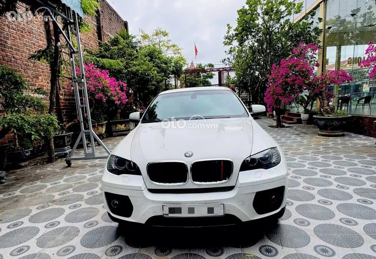 2010 BMW X6 xDrive35i