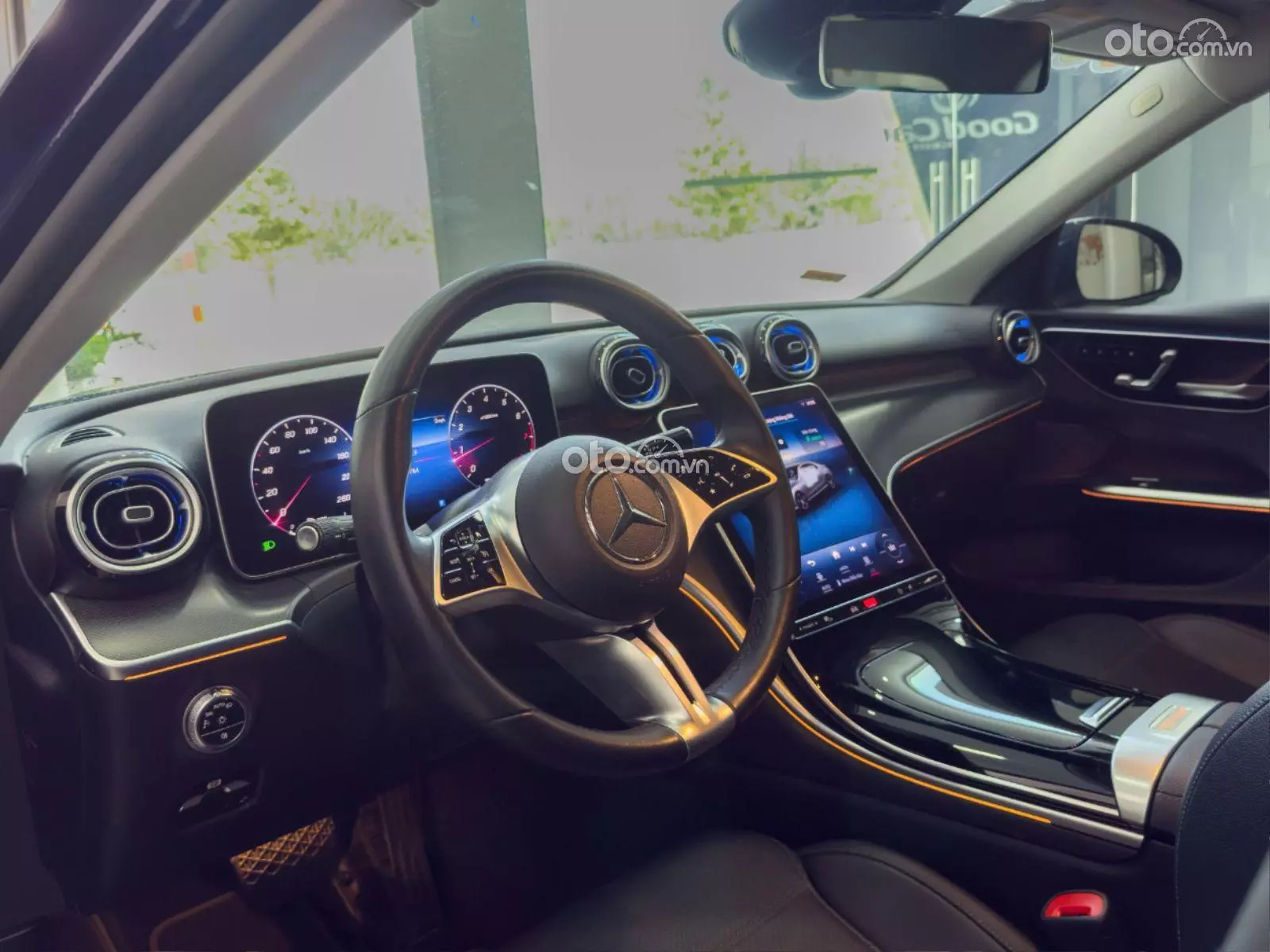 Thumbnail 11