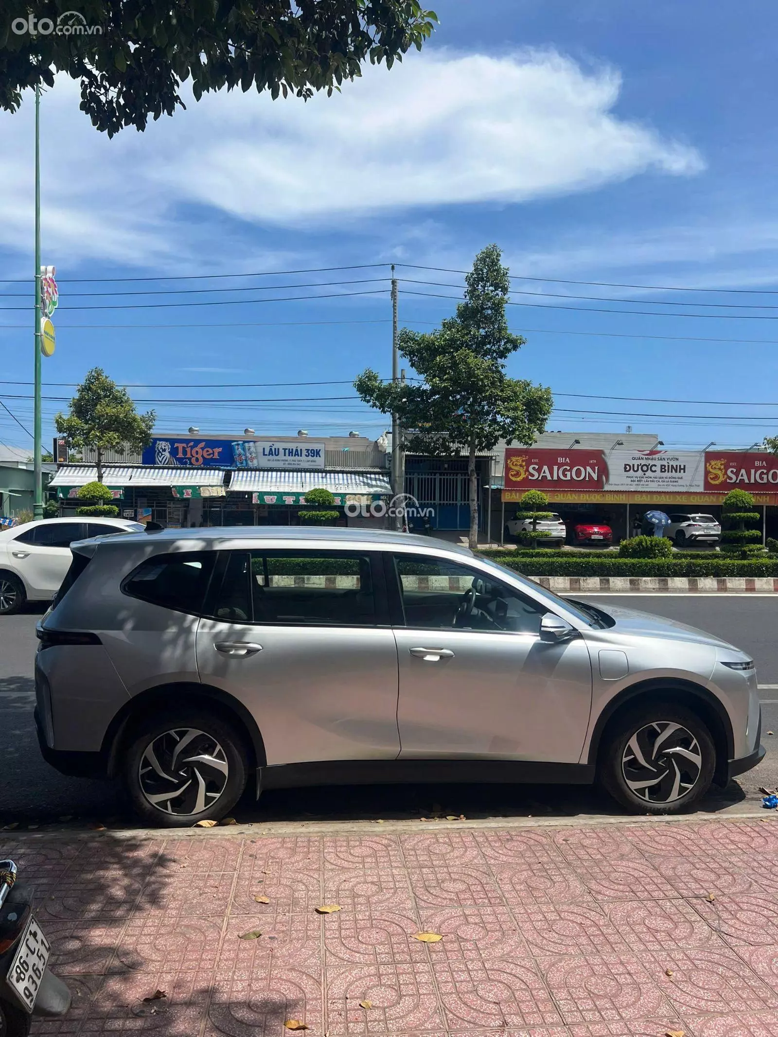 2025 VinFast Limo Green