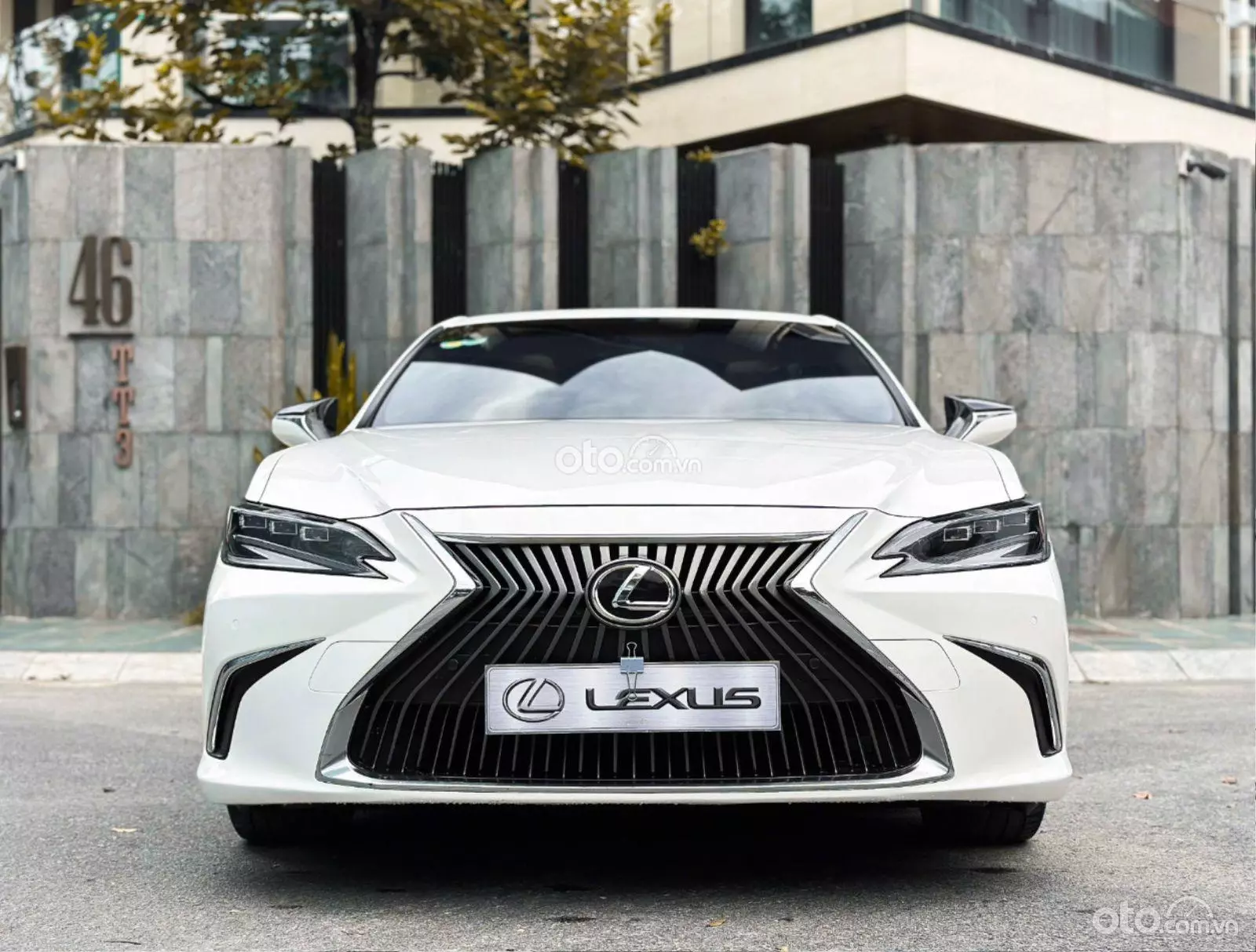 2019 Lexus ES 250 F-Sport