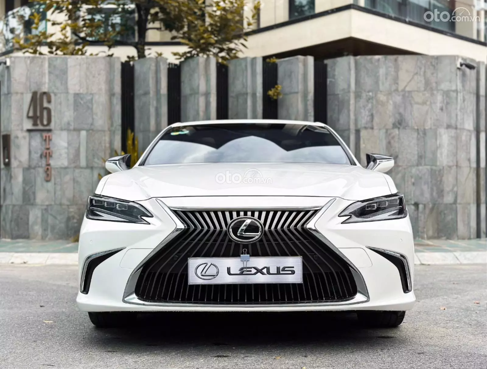 2019 Lexus ES 250 F-Sport