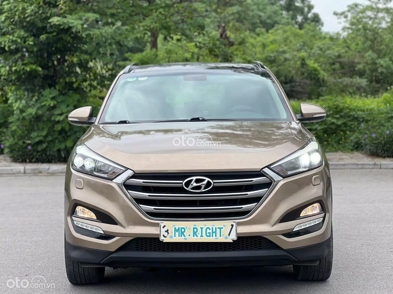 2019 Hyundai Tucson 2.0 Đặc biệt