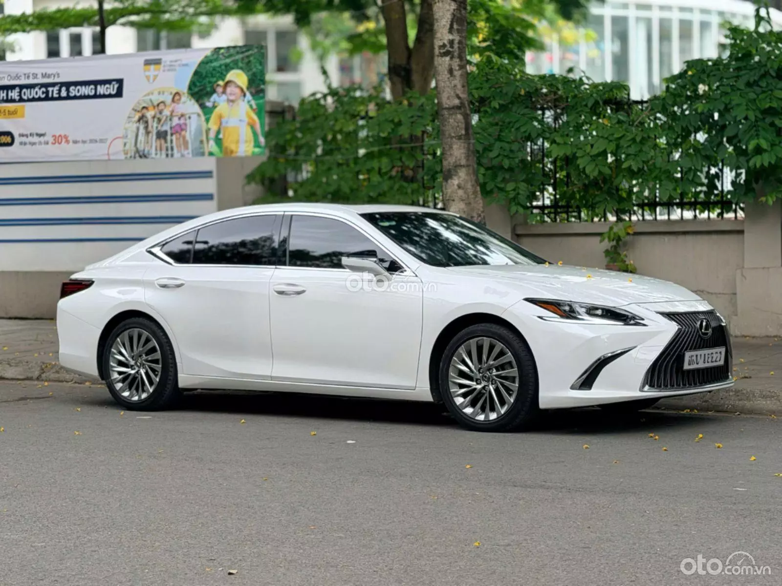 2019 Lexus ES 250 F-Sport