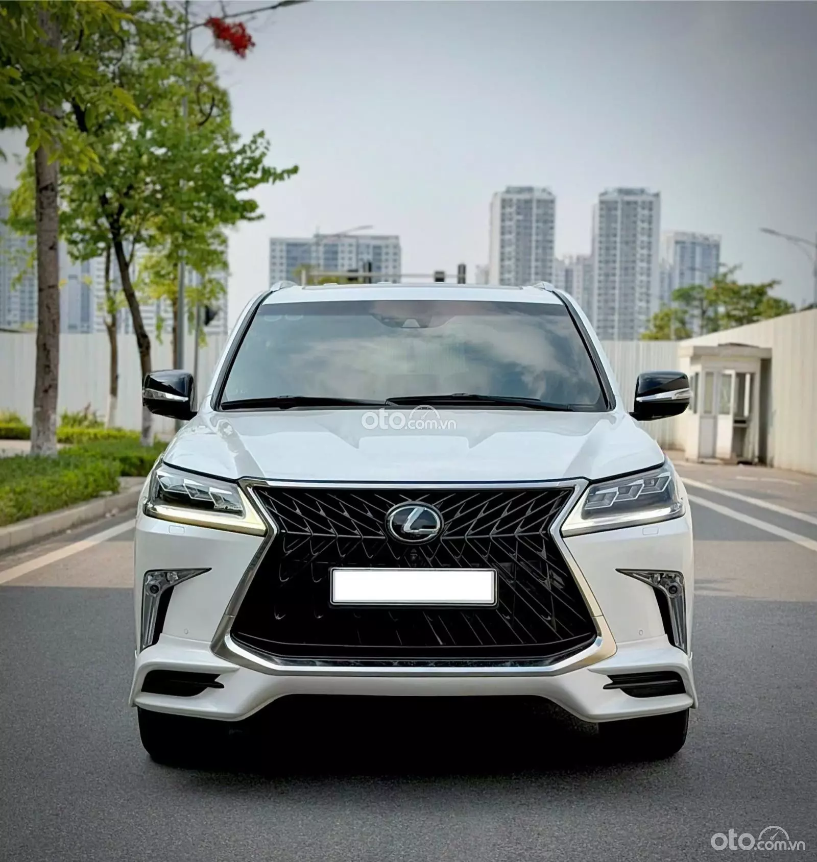2019 Lexus LX 570 MBS