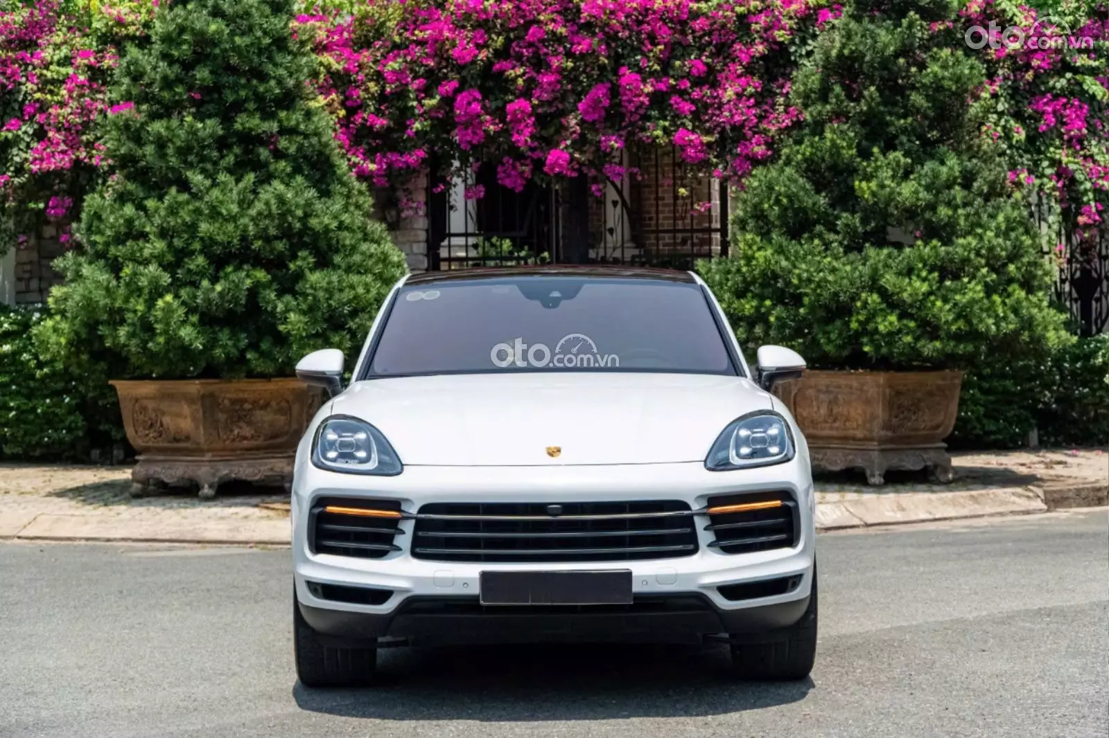 2022 Porsche Cayenne Platinum Edition