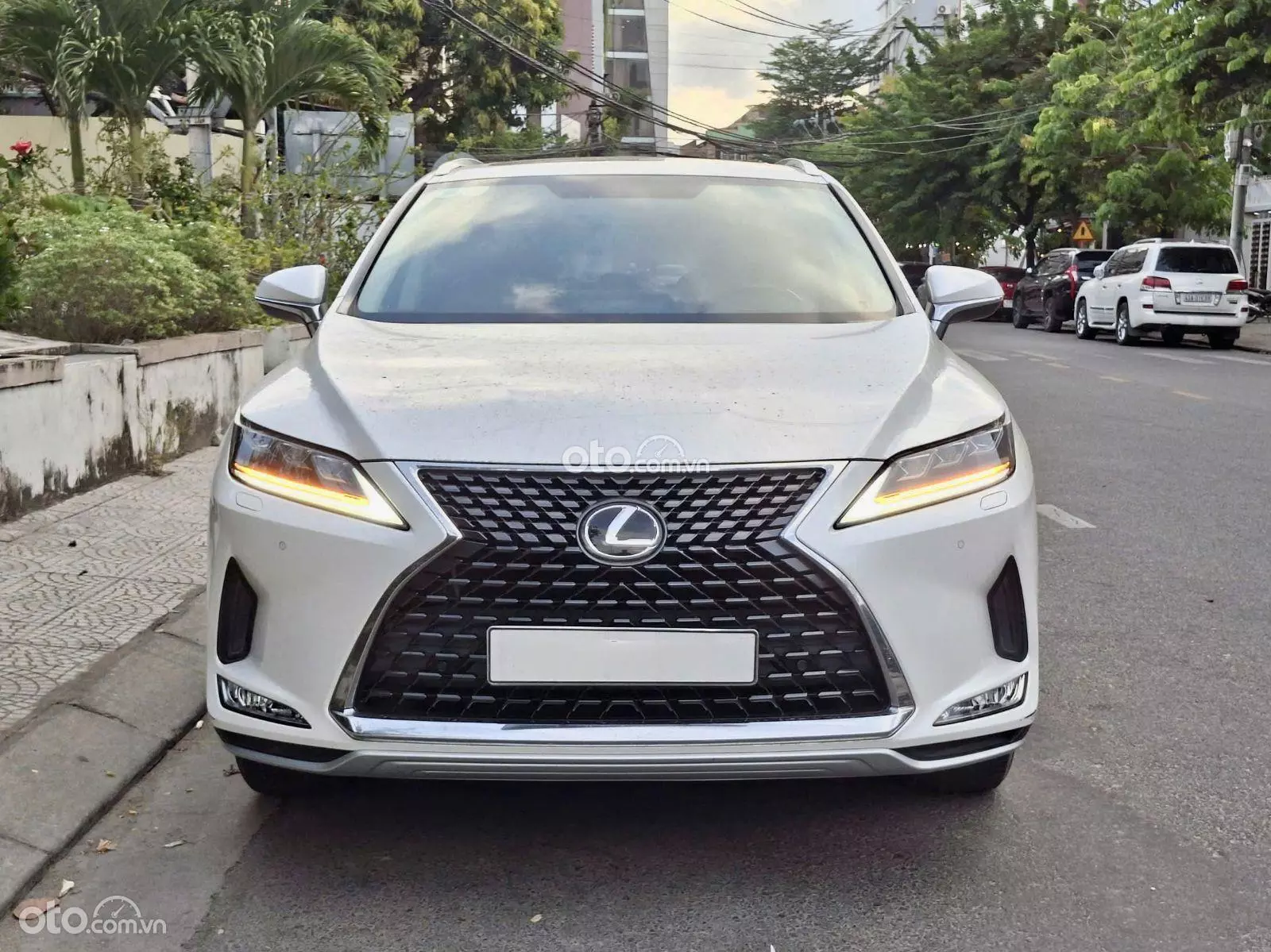 2021 Lexus RX 300