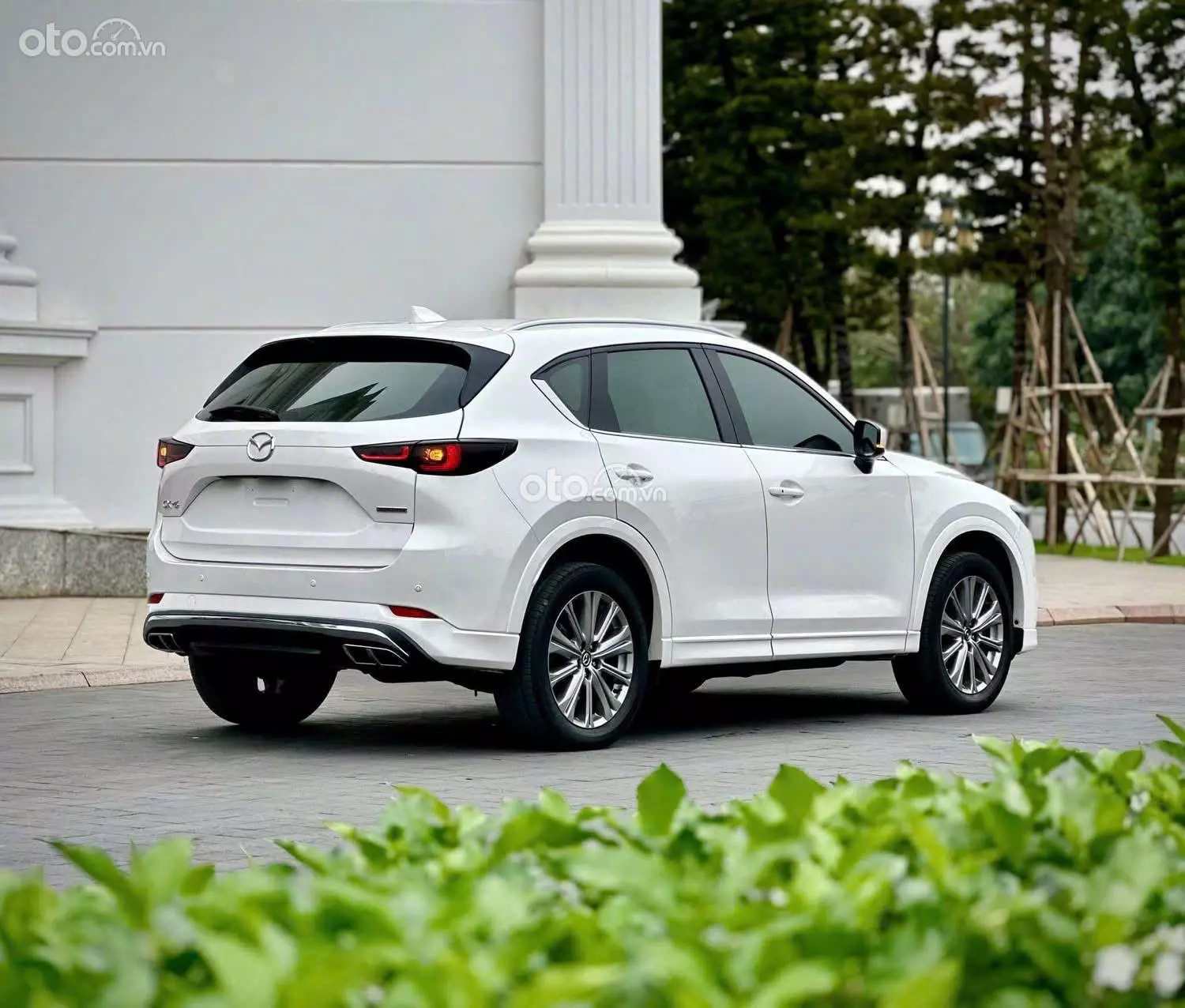 2025 Mazda CX-5 2.0L Premium Exclusive - ảnh nhỏ 5