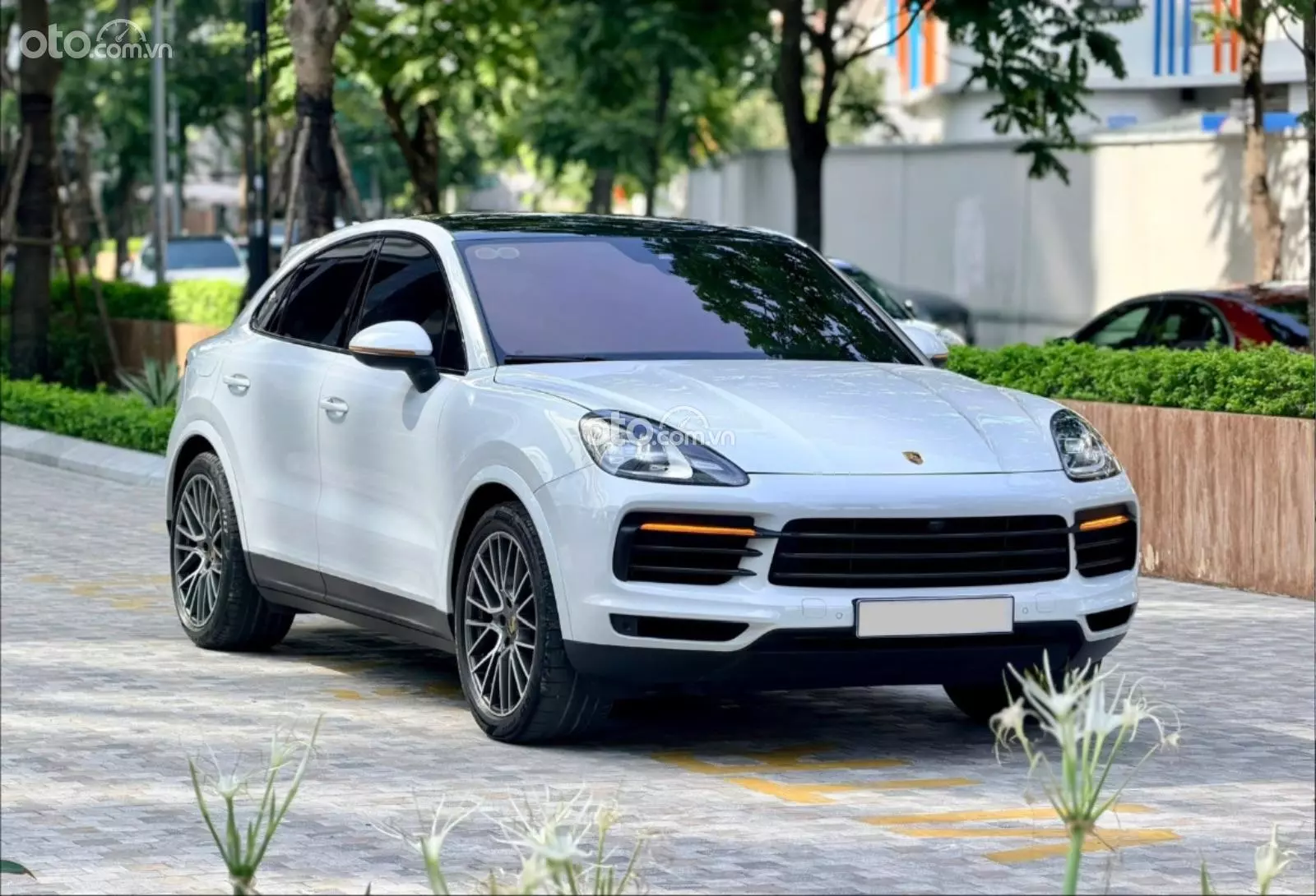 2022 Porsche Cayenne Platinum Edition - ảnh nhỏ 2