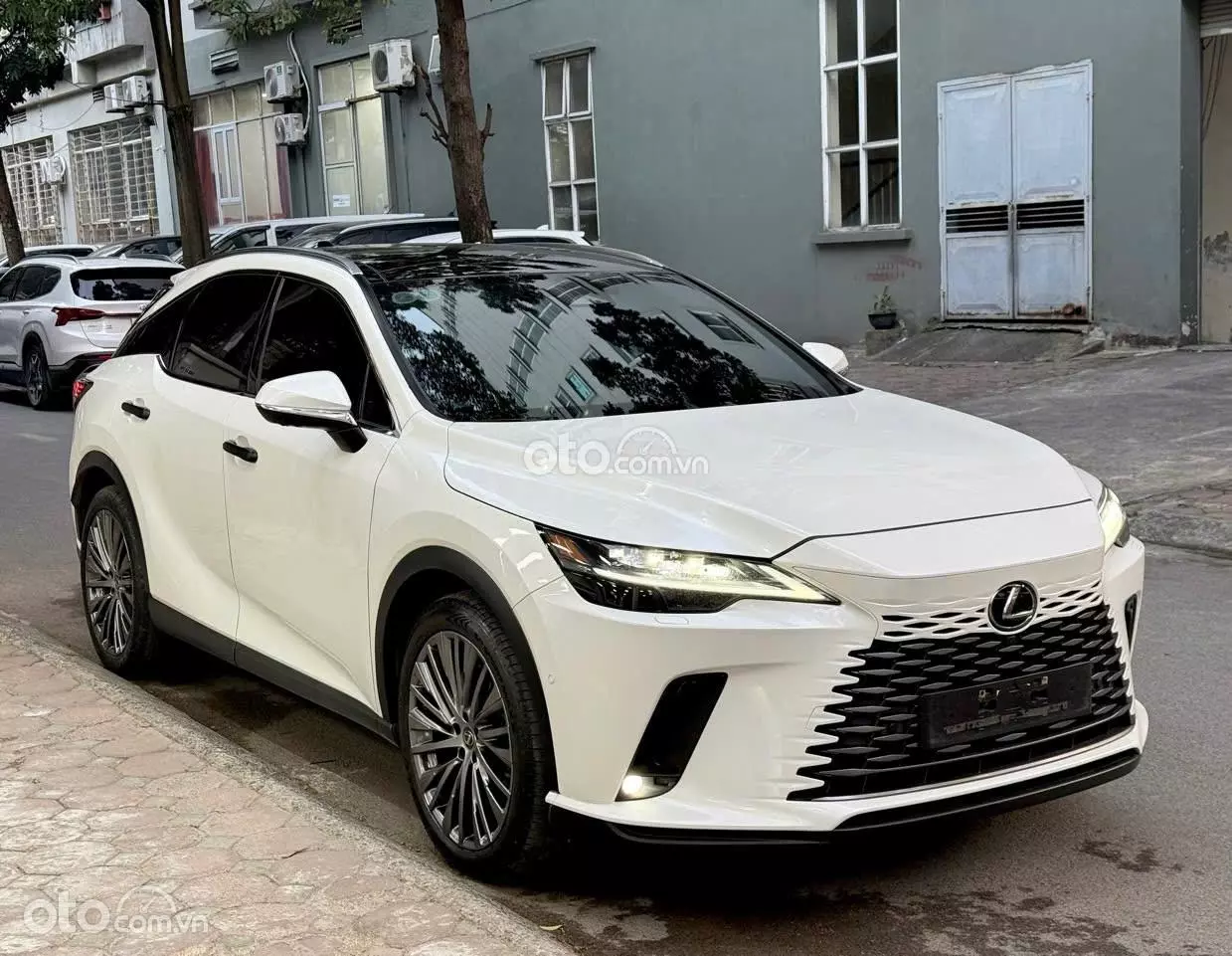 2023 Lexus RX 350 Luxury