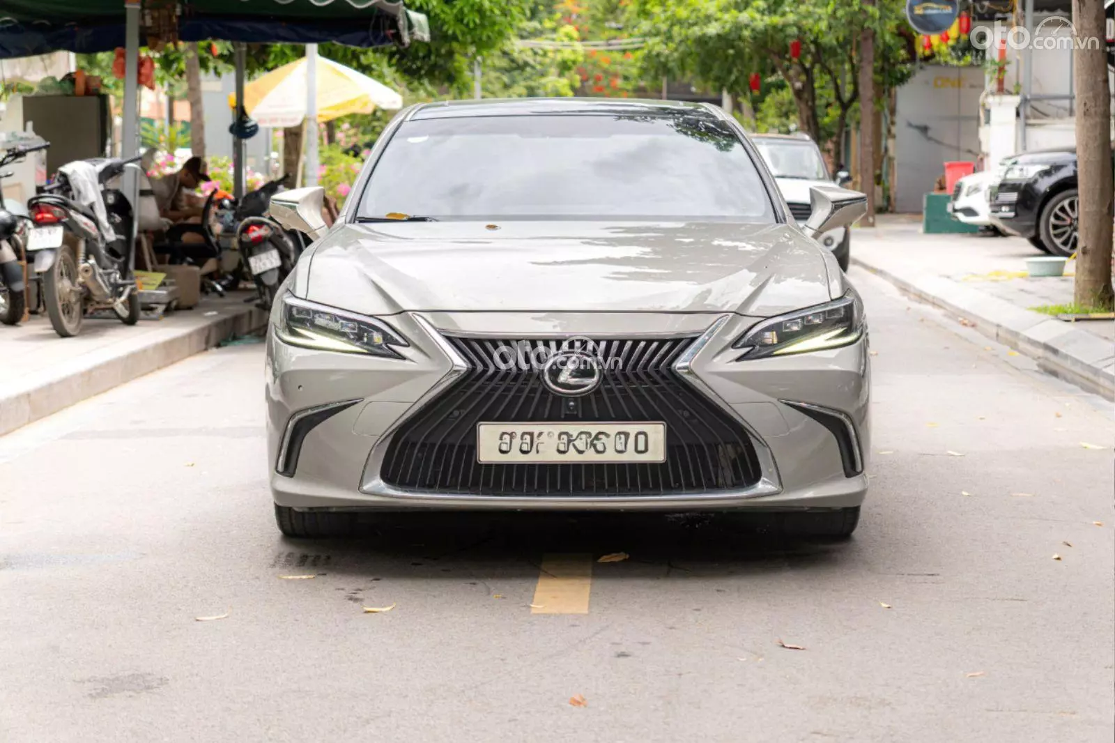 2018 Lexus ES 250 F-Sport