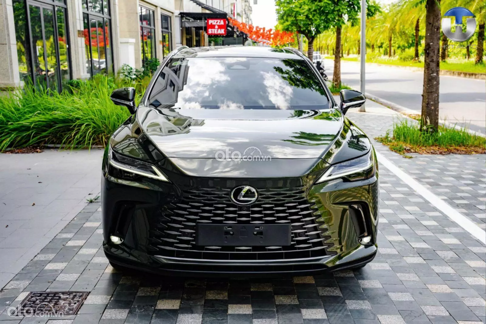 2025 Lexus RX 350h Premium