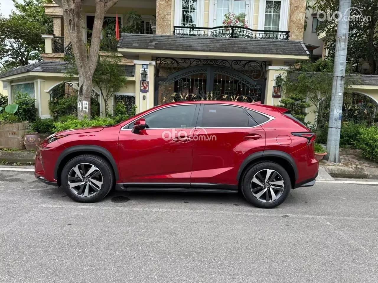 2019 Lexus NX 300 T