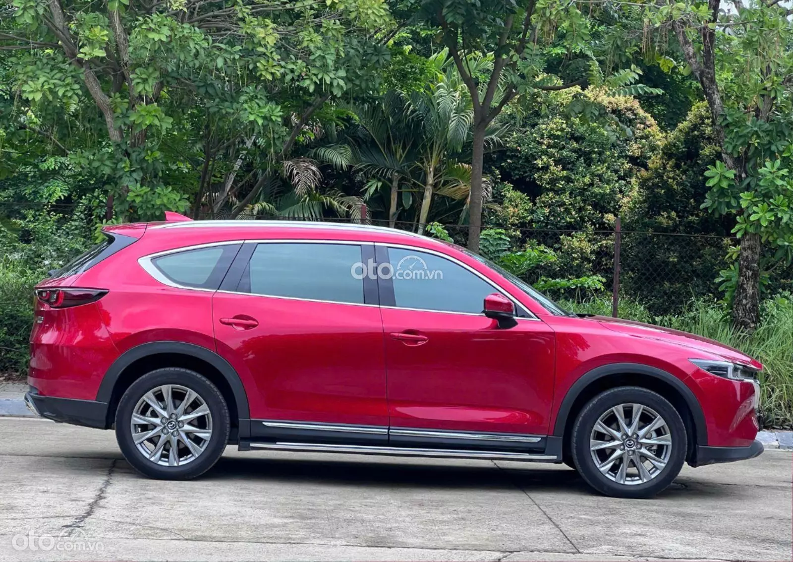 2025 Mazda CX-8 Luxury - ảnh nhỏ 8