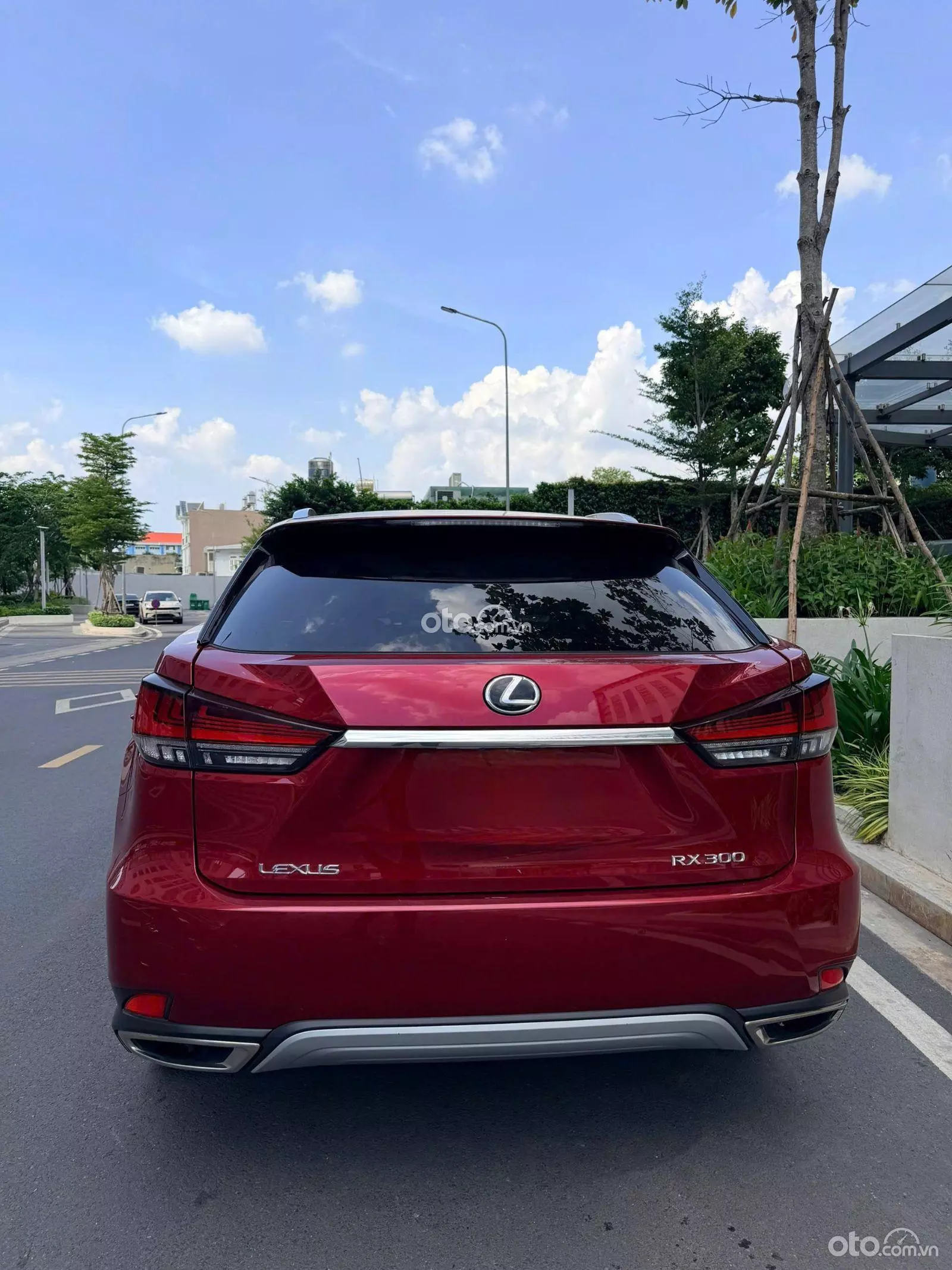 2021 Lexus RX 300