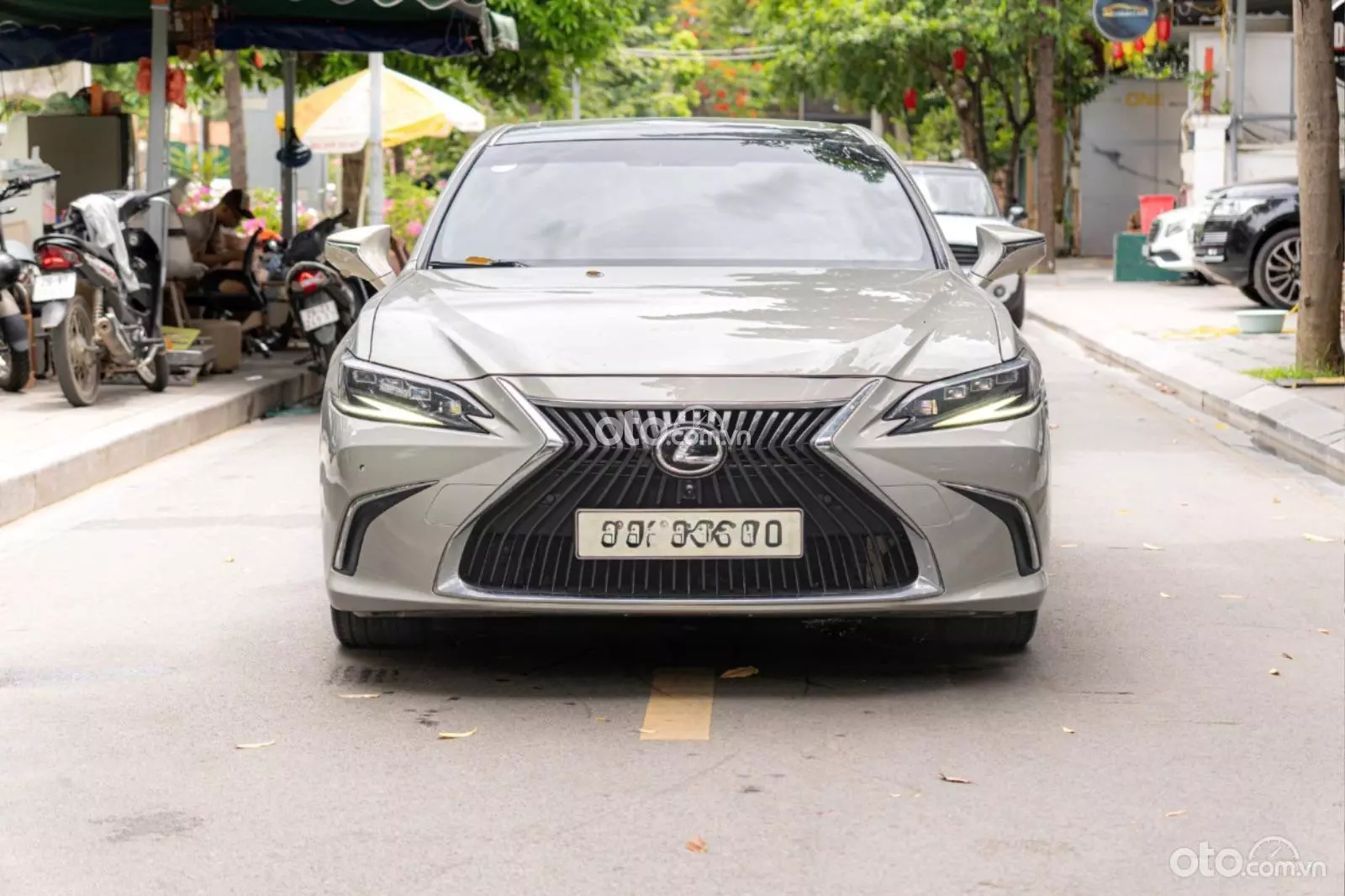 2018 Lexus ES 250 F-Sport
