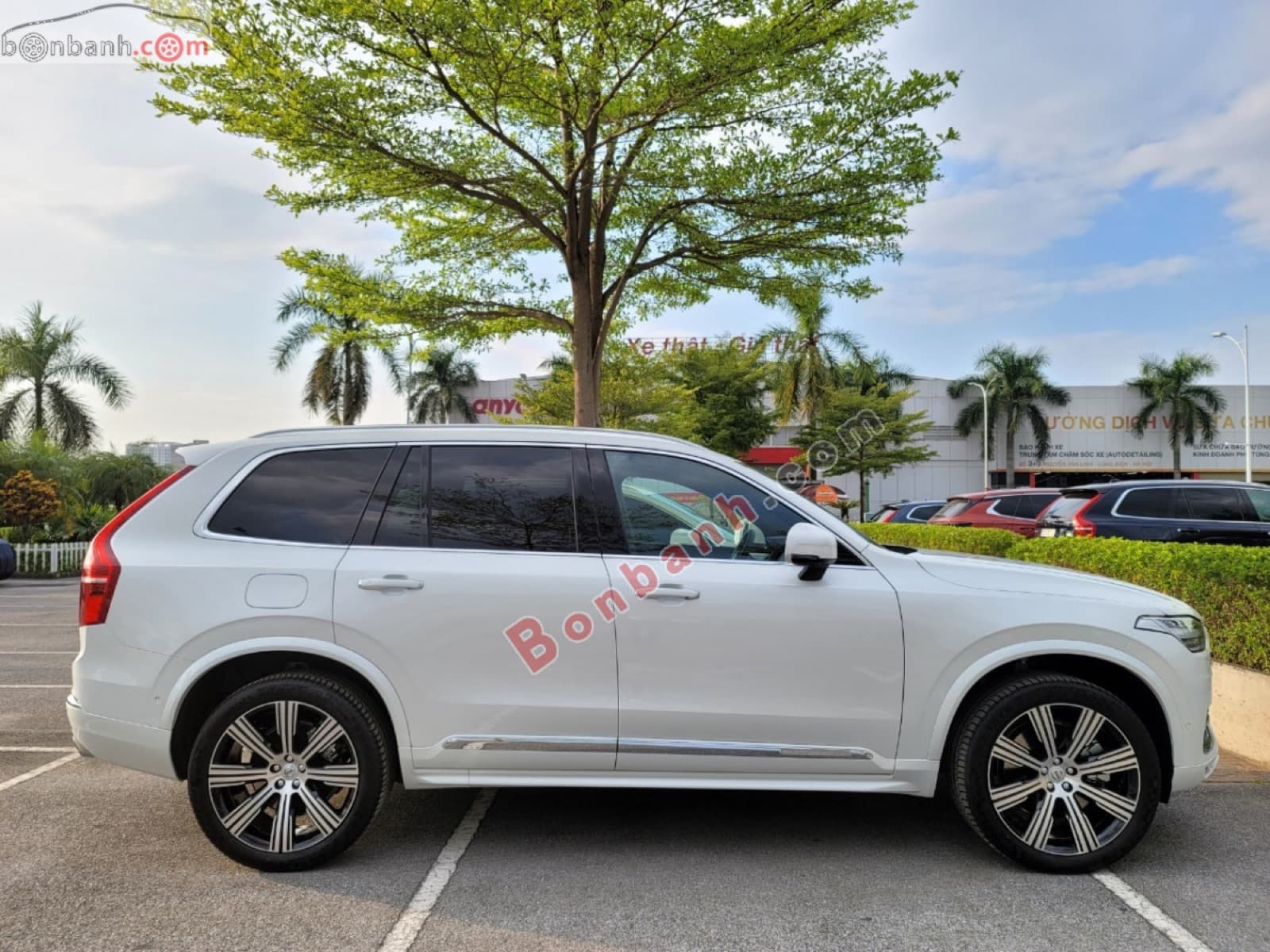 2025 Volvo XC90 Plug-in Hybrid Ultra T8 AWD - ảnh nhỏ 3