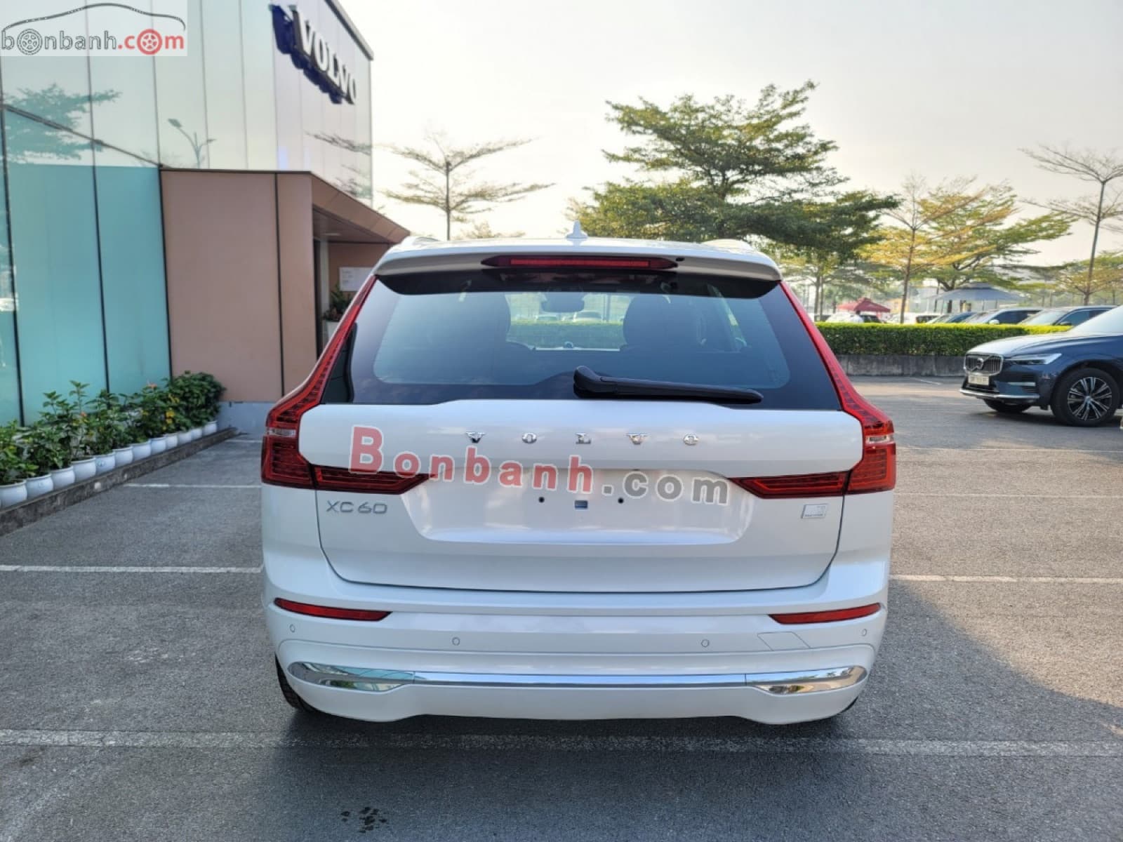 2025 Volvo XC60 Recharge Ultimate T8 AWD - ảnh nhỏ 5