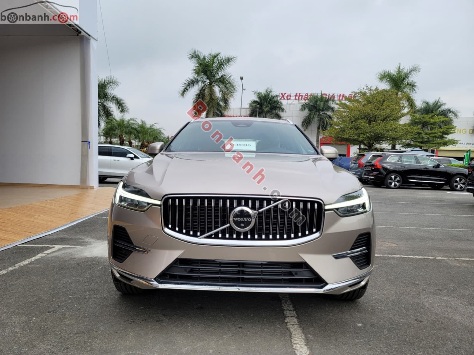 2025 Volvo XC60 Recharge Ultimate T8 AWD - ảnh nhỏ 2