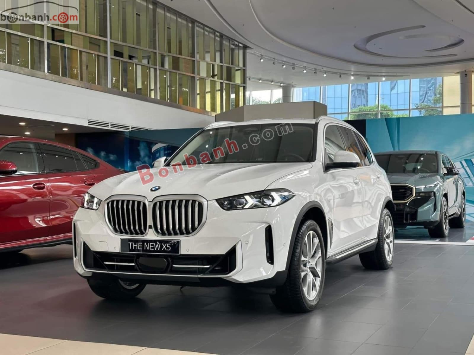 2025 BMW X5 xDrive40i xLine